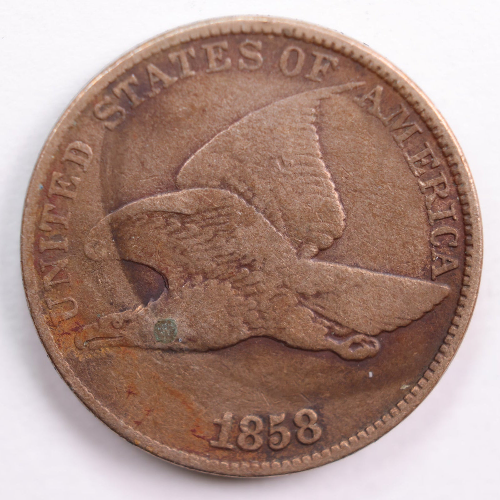 1858 Flying Eagle Small Cent, Fine Circulated Coin, Store #CT0562