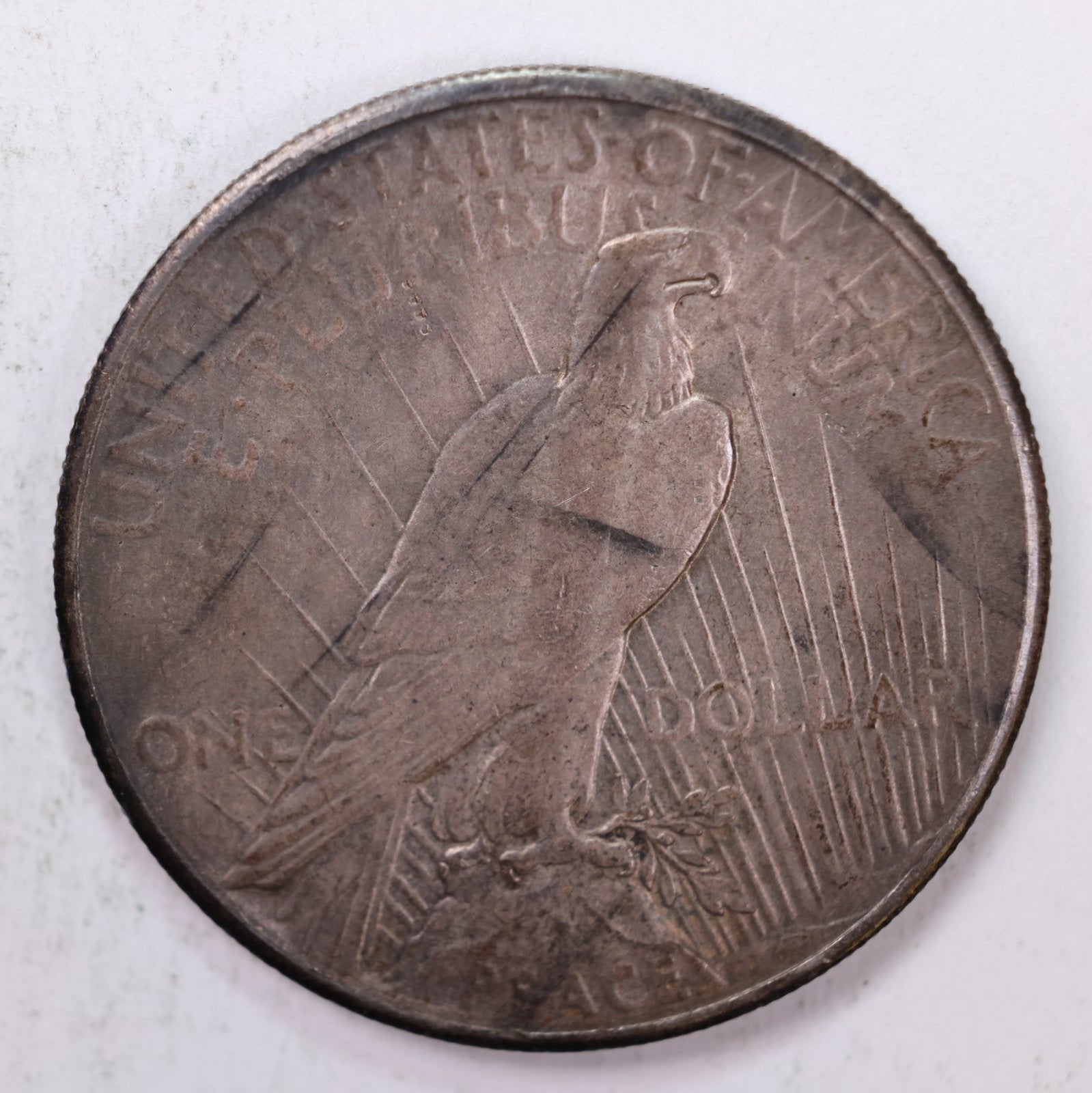 1928 Peace Dollar, *KEY*, Mint State Uncirculated Coin., Store #9032