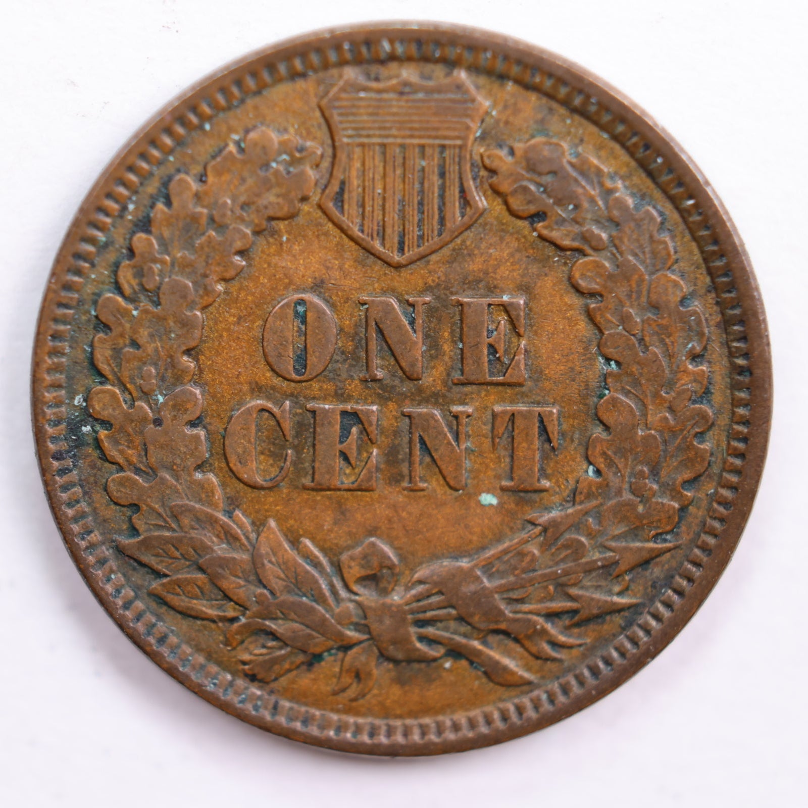 1900 Indian Head Cent, Extra Fine Circulated Coin, Store #CT0632