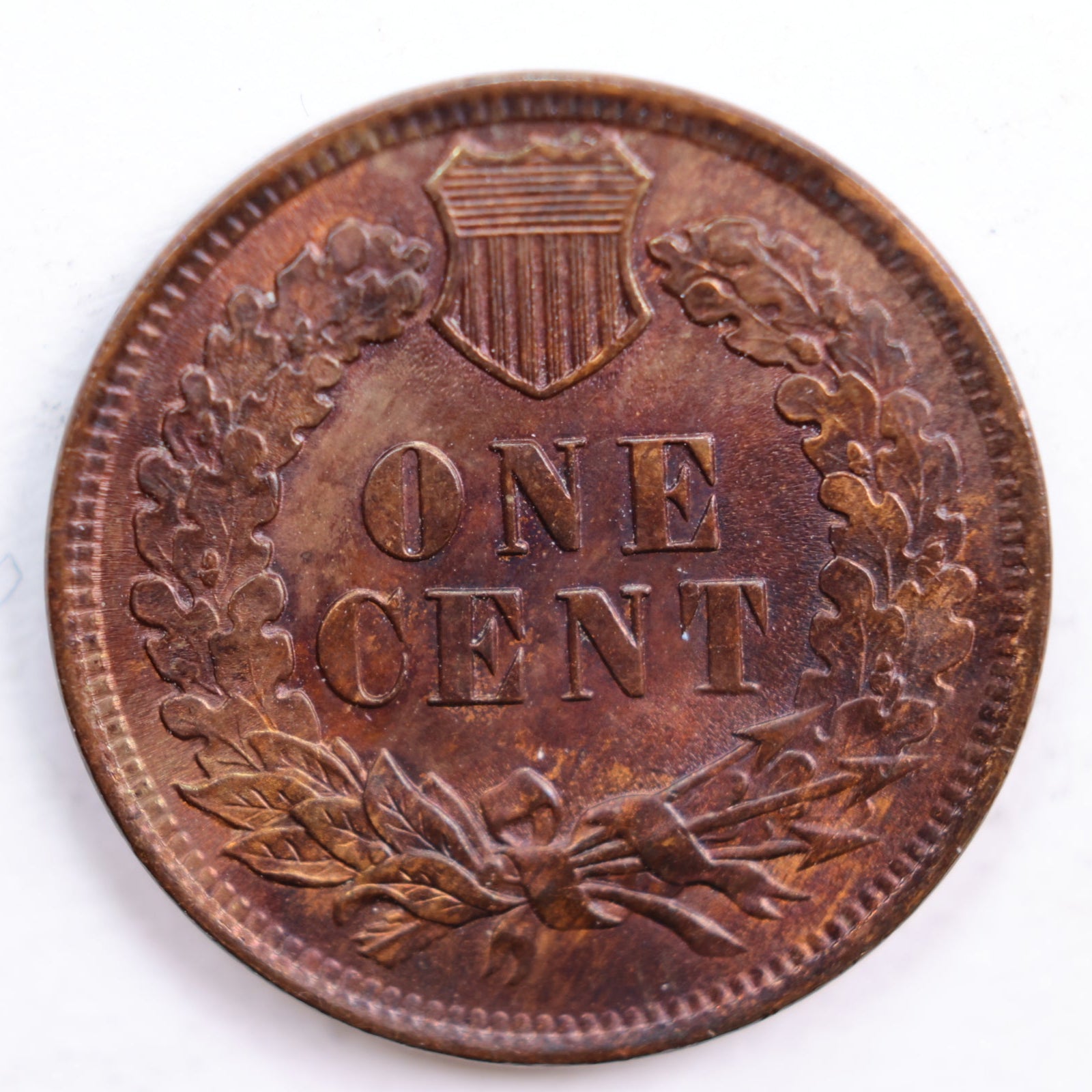 1901 Indian Head Cent, Mint State Uncirculated Coin, Store #CT0635