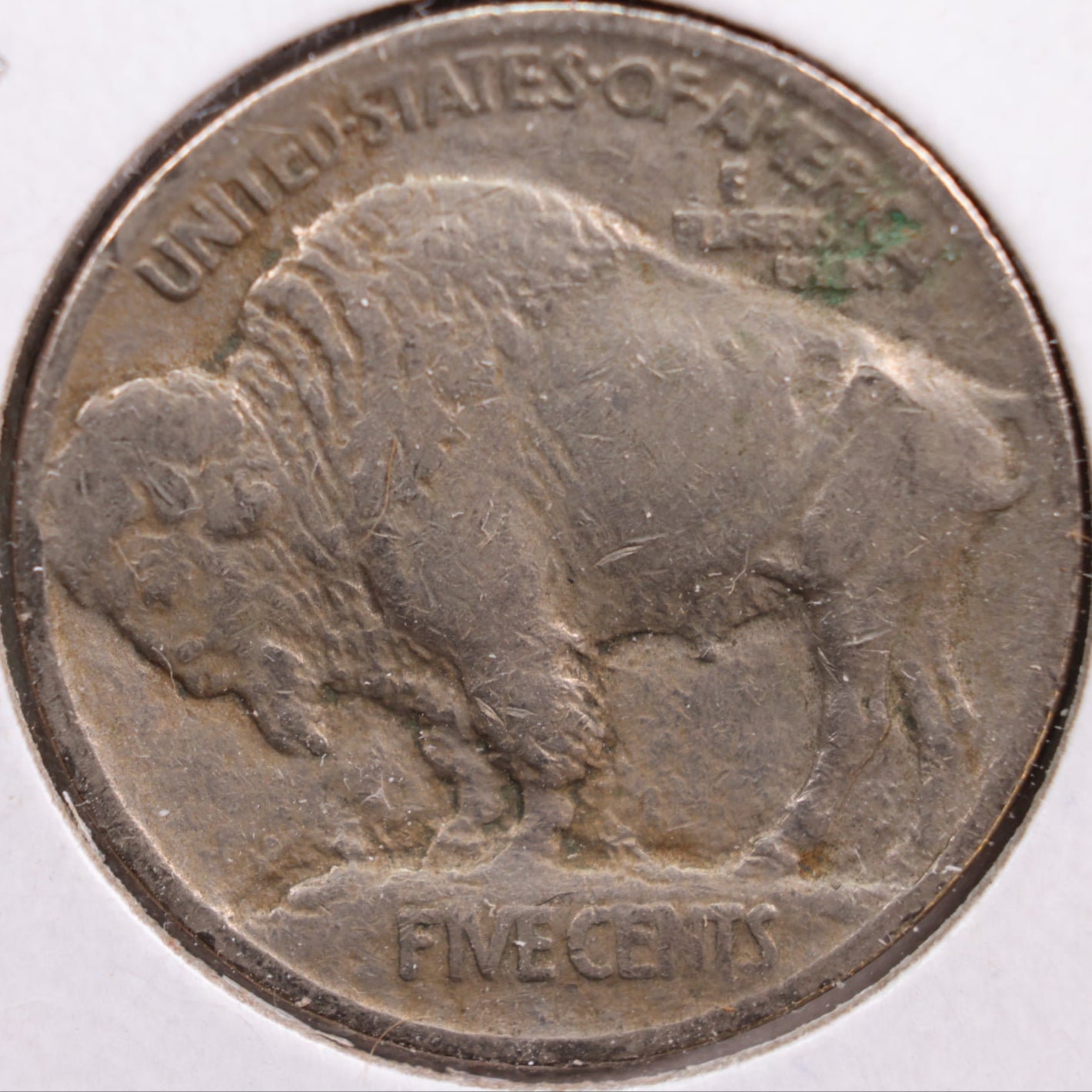 1913 Buffalo Nickel, Fine Circulated Coin, Store #NL188