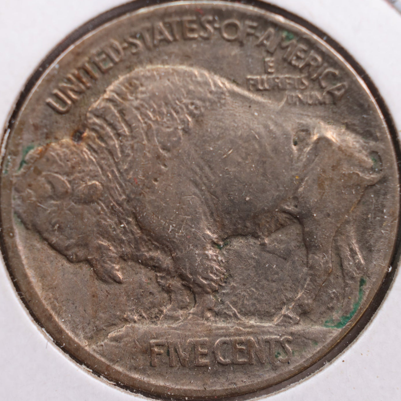 1913 Buffalo Nickel, Extra Fine Circulated Coin, Store #NL190