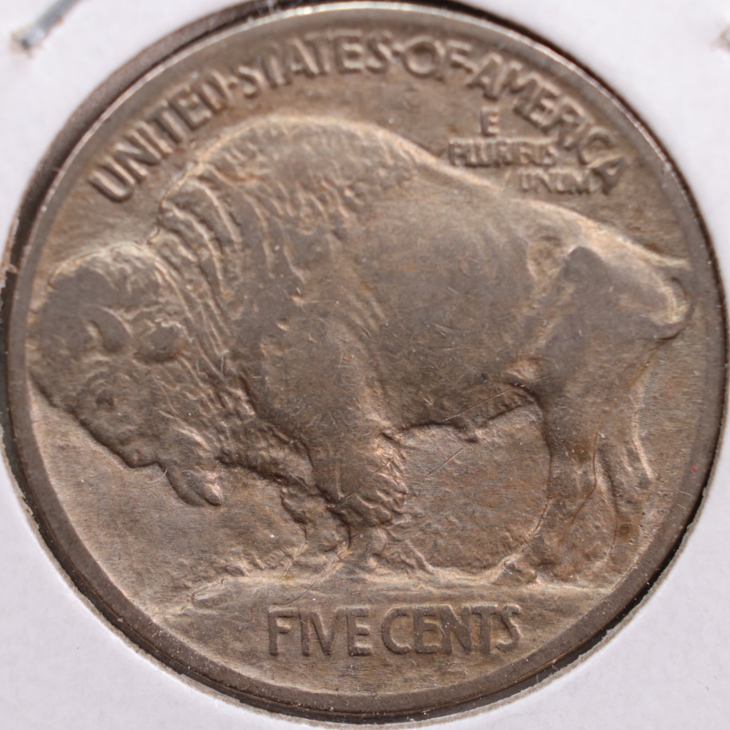 1913 Buffalo Nickel, Extra Fine Circulated Coin, Store #NL195