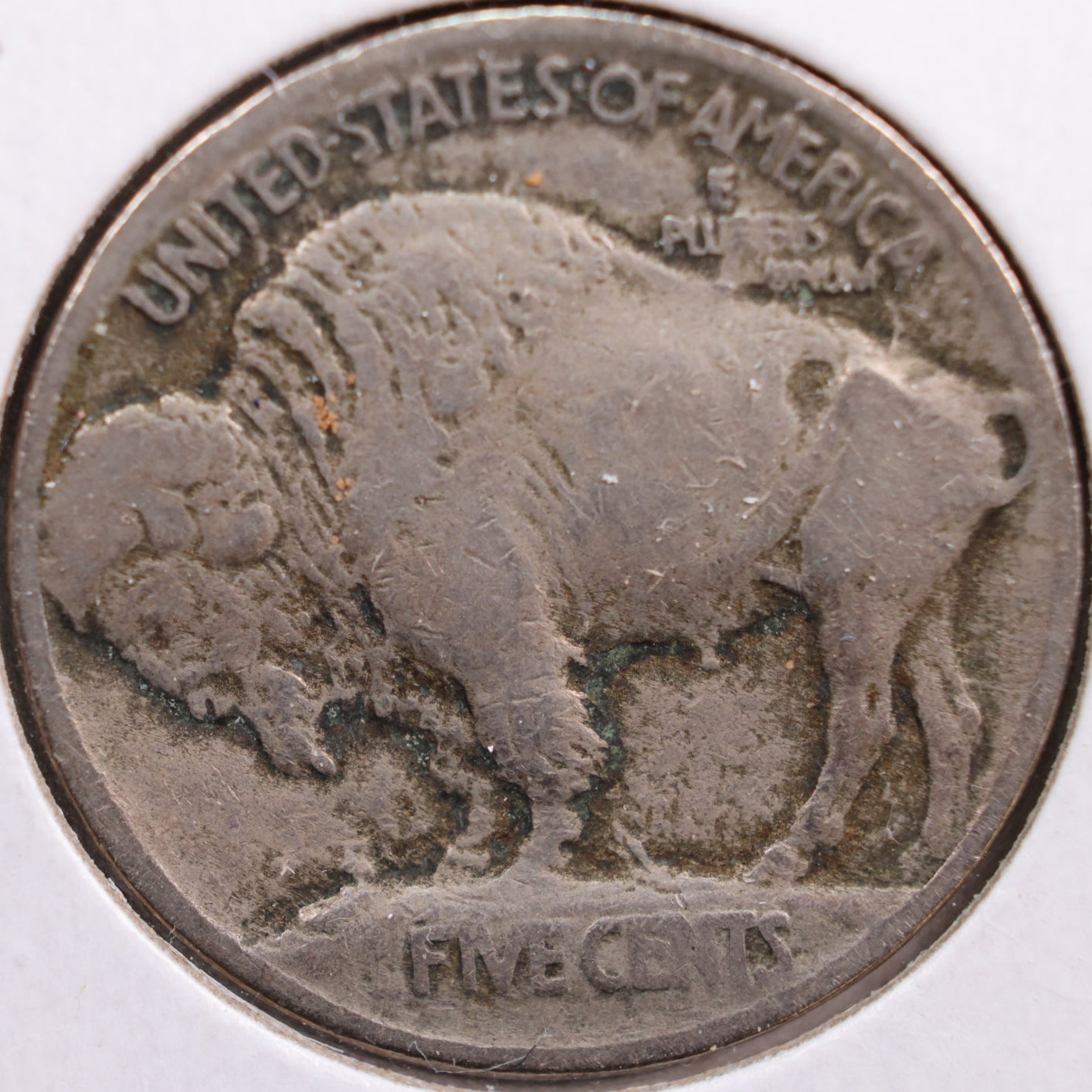 1913 Buffalo Nickel, Fine Circulated Coin, Store #NL199