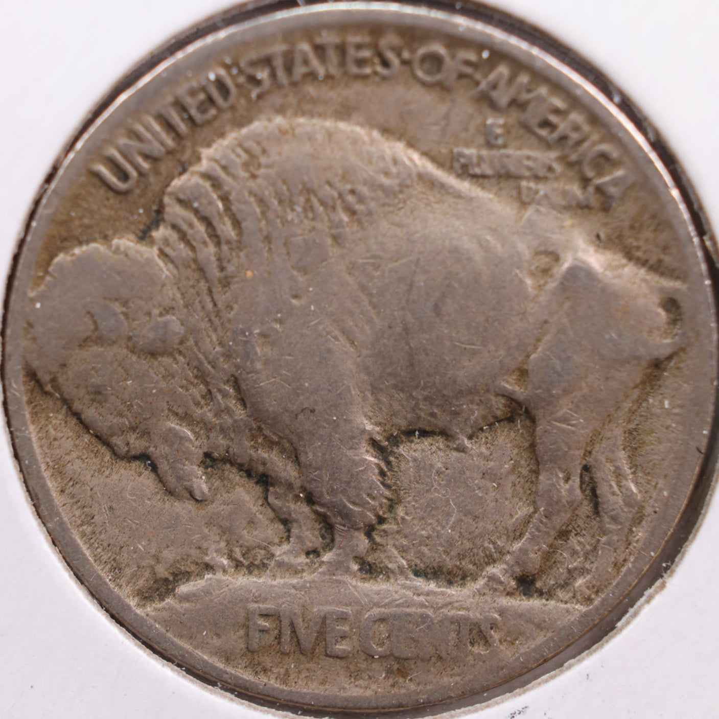 1913 Buffalo Nickel, Very Fine Circulated Coin, Store #NL200