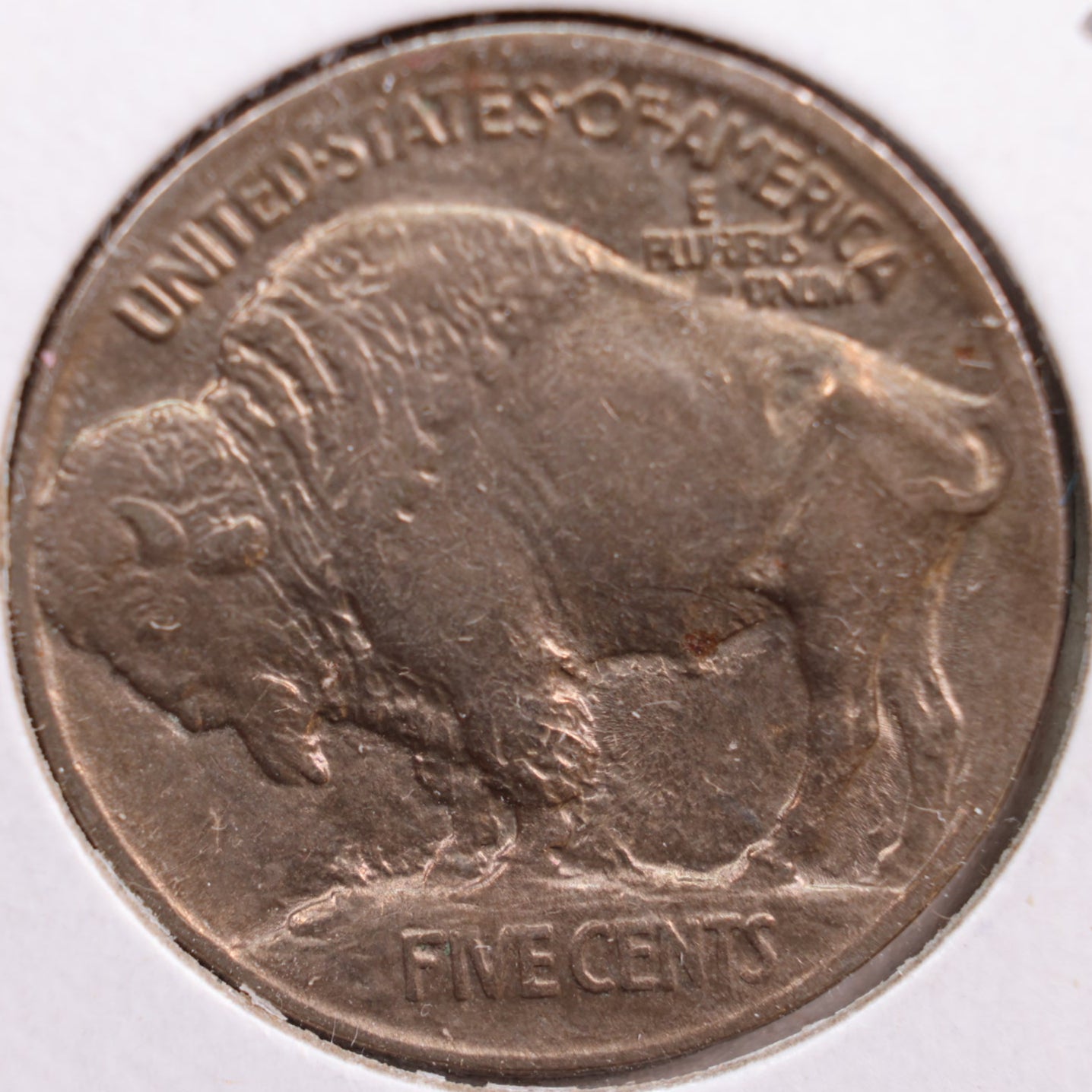 1913 Buffalo Nickel, Mint State Uncirculated Coin, Store #NL202