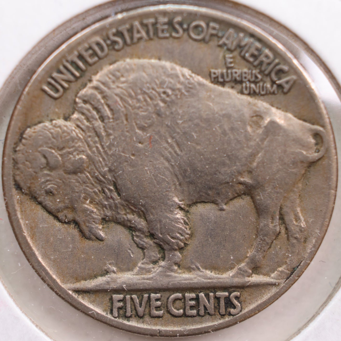 1913 Buffalo Nickel, Extra Fine Circulated Coin, Store #NL213