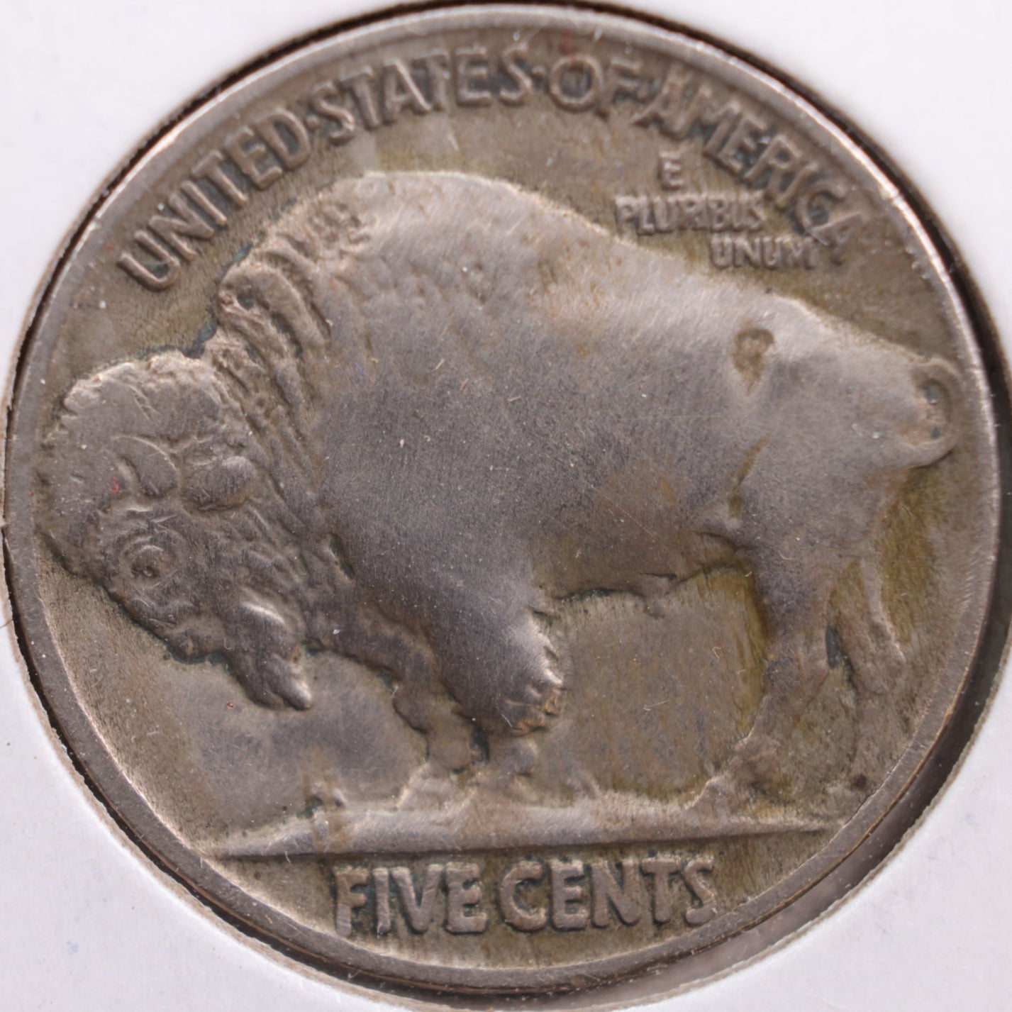 1913 Buffalo Nickel, Fine Circulated Coin, Store #NL214