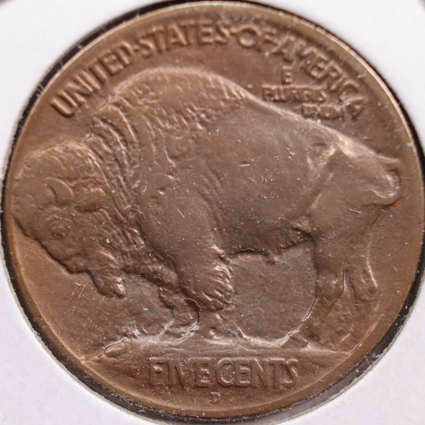 1913-D Buffalo Nickel, Extra Fine+ Circulated Coin, Store #NL218