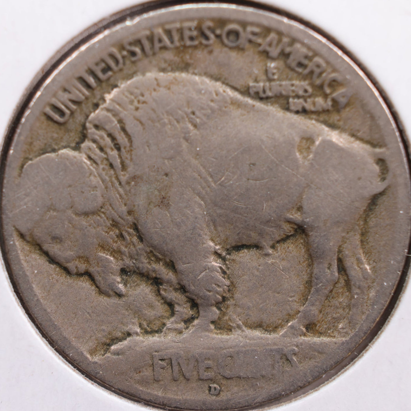 1913-D Buffalo Nickel, Good Circulated Coin, Store #NL223