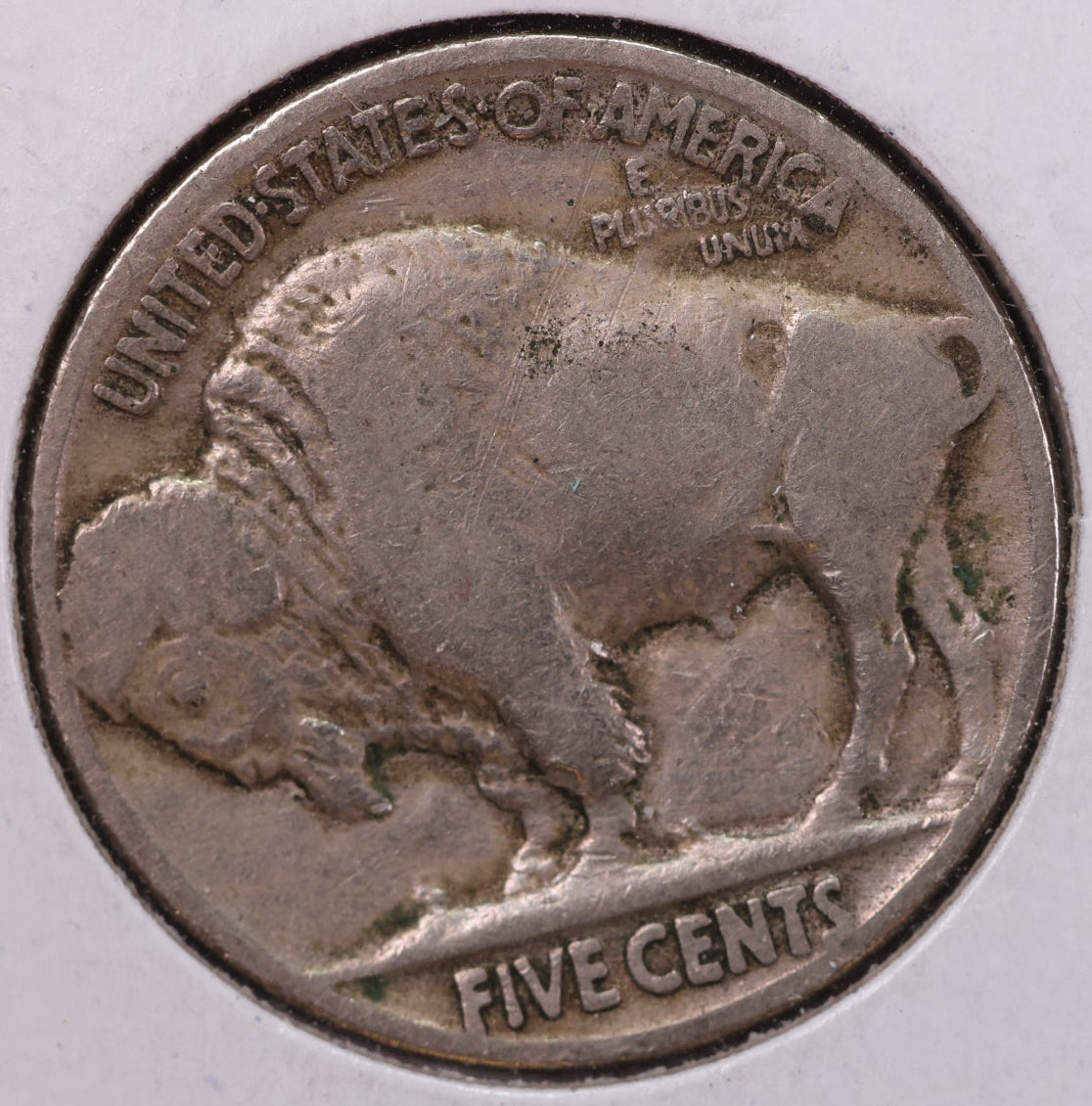 1919 Buffalo Nickel. Affordable Circulated Coin. Store #NL790