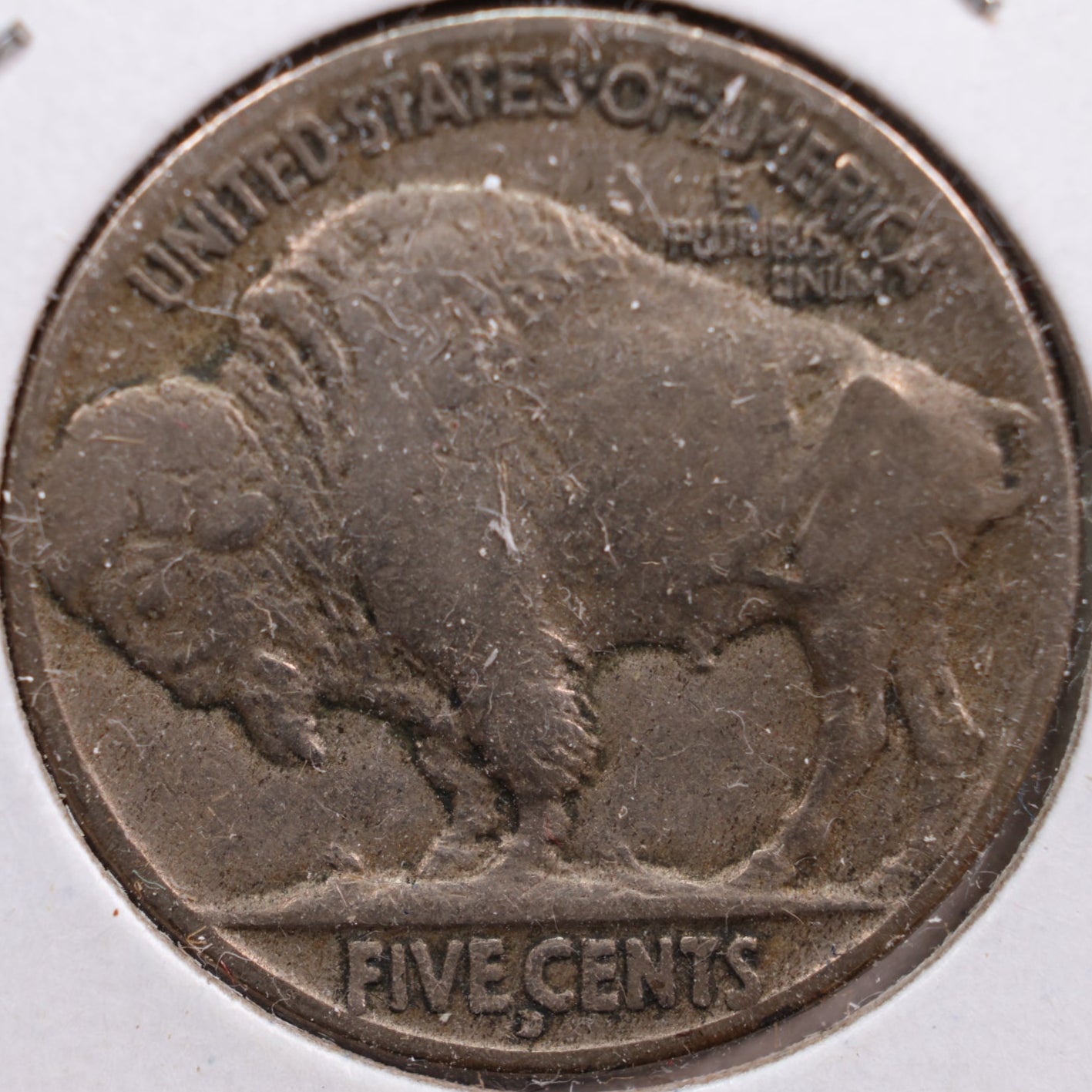 1917-D Buffalo Nickel, Fine Circulated Coin, Store #NL368