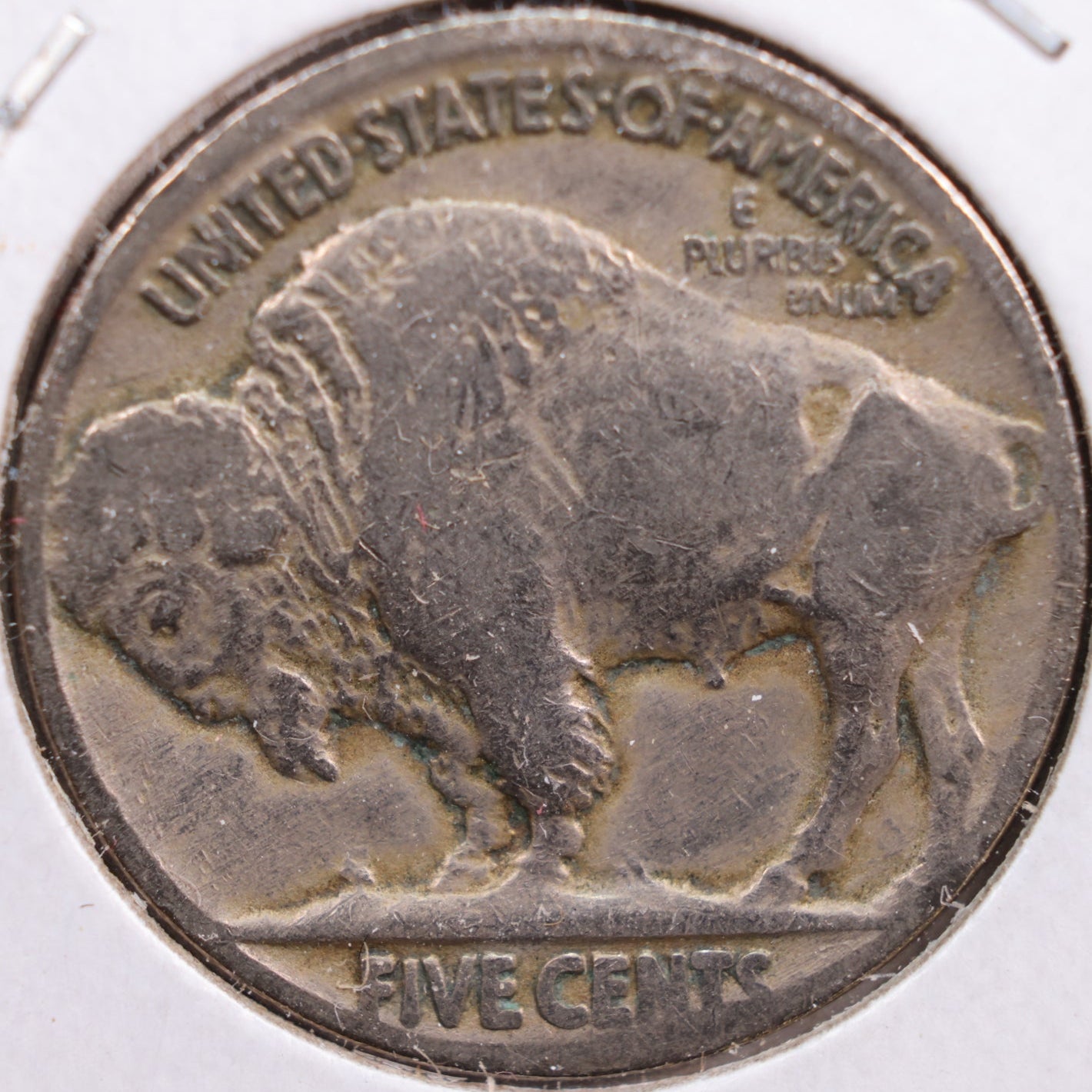 1919 Buffalo Nickel, Very Good Circulated Coin, Store #NL411