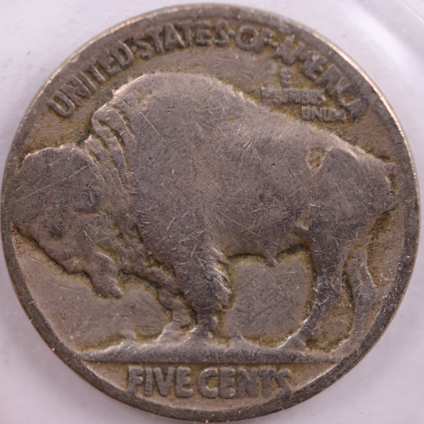 1919 Buffalo Nickel, Good Circulated Coin, Store #NL417