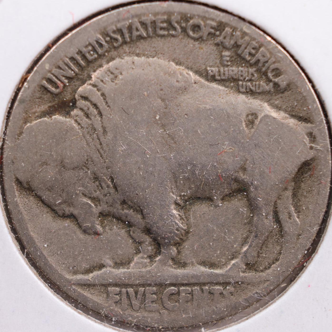 1919-D Buffalo Nickel, Good Circulated Coin, Store #NL430