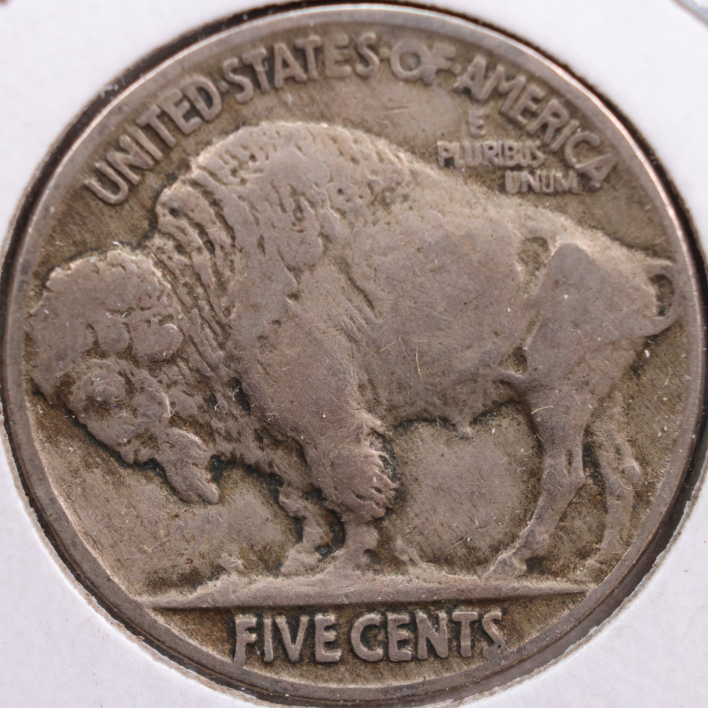 1923 Buffalo Nickel, Fine Circulated Coin, Store #NL489