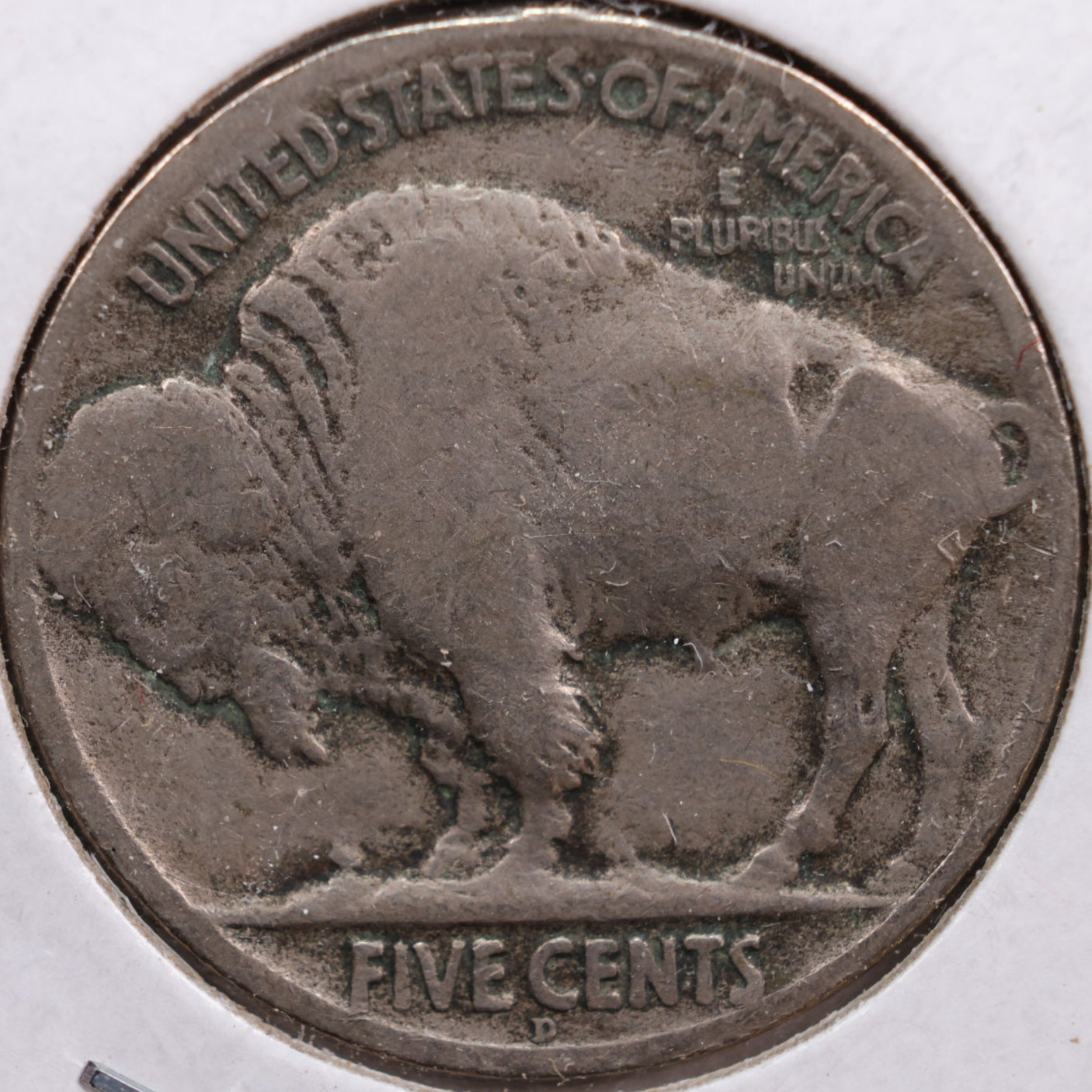 1924-D Buffalo Nickel, Fine Circulated Coin, Store #NL532