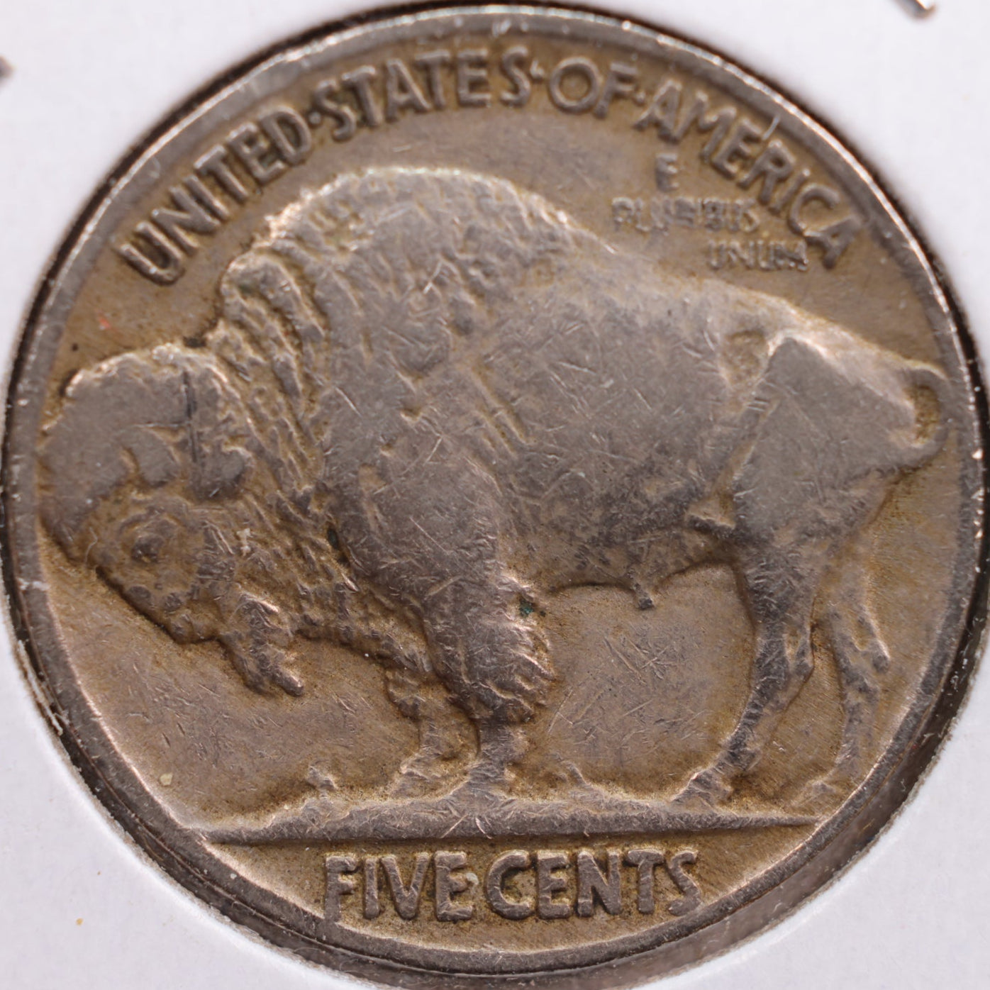 1925 Buffalo Nickel, Fine Circulated Coin, Store #NL547
