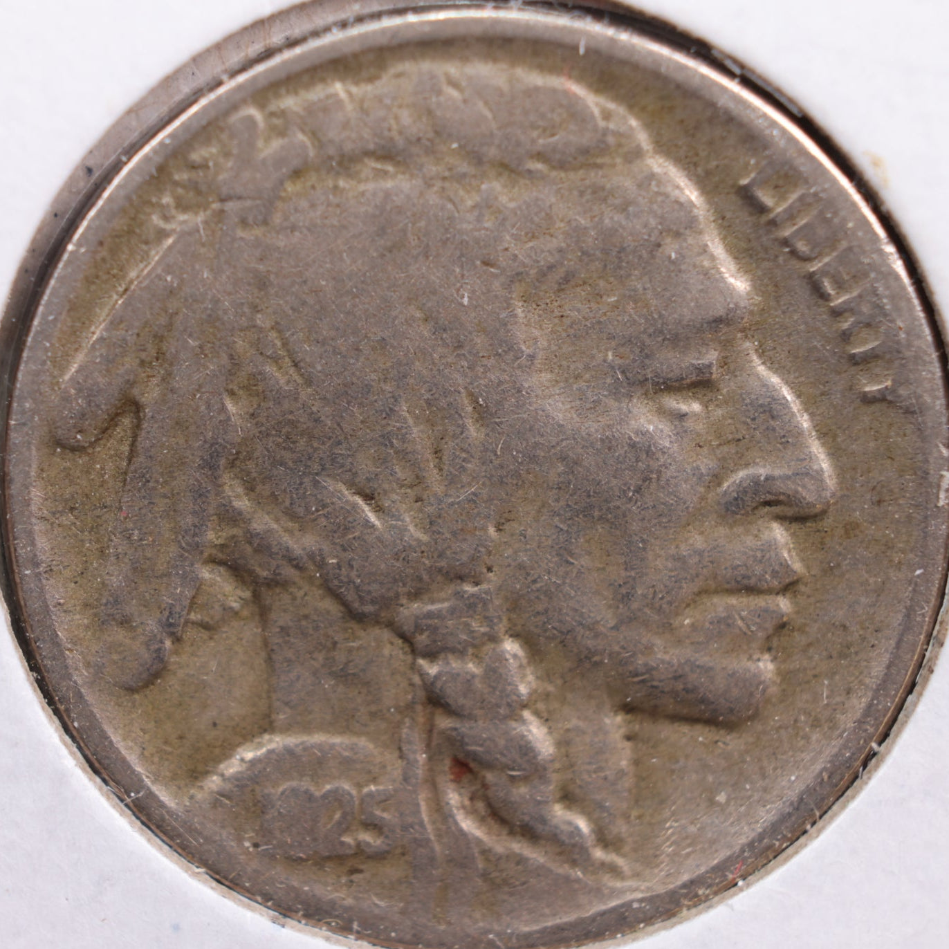 1925-D Buffalo Nickel, Fine Circulated Coin, Store #NL551