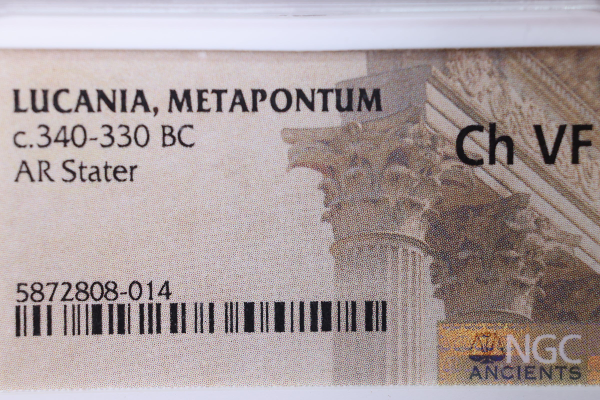 Lucania, Metapontum., 340-330 B.C., NGC Certified CH VF., Store# AT0001