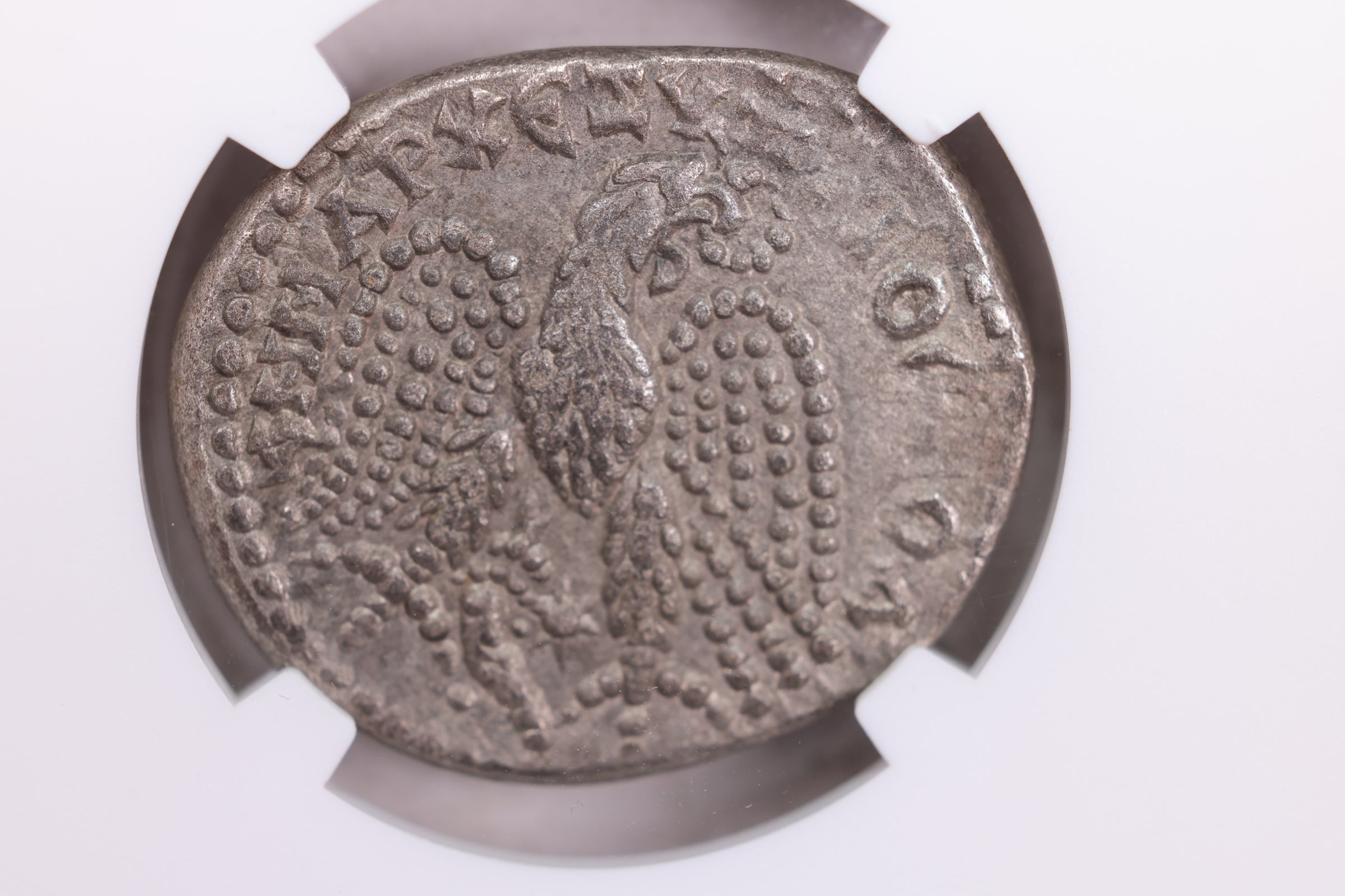 Roman Provincial., A.D., 198-217., NGC Certified Extra Fine., Store# AT0012