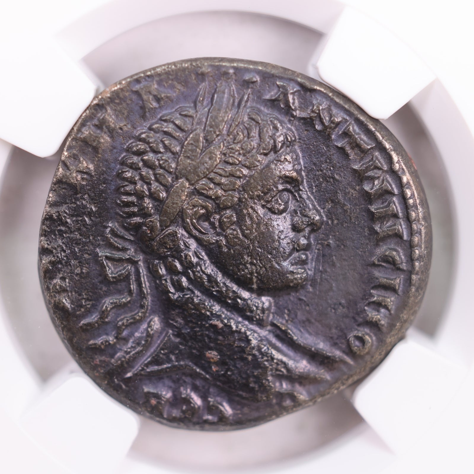 ROMAN PROVINCIAL., A.D., 218-222., NGC Certified V.F., Store# AT0021