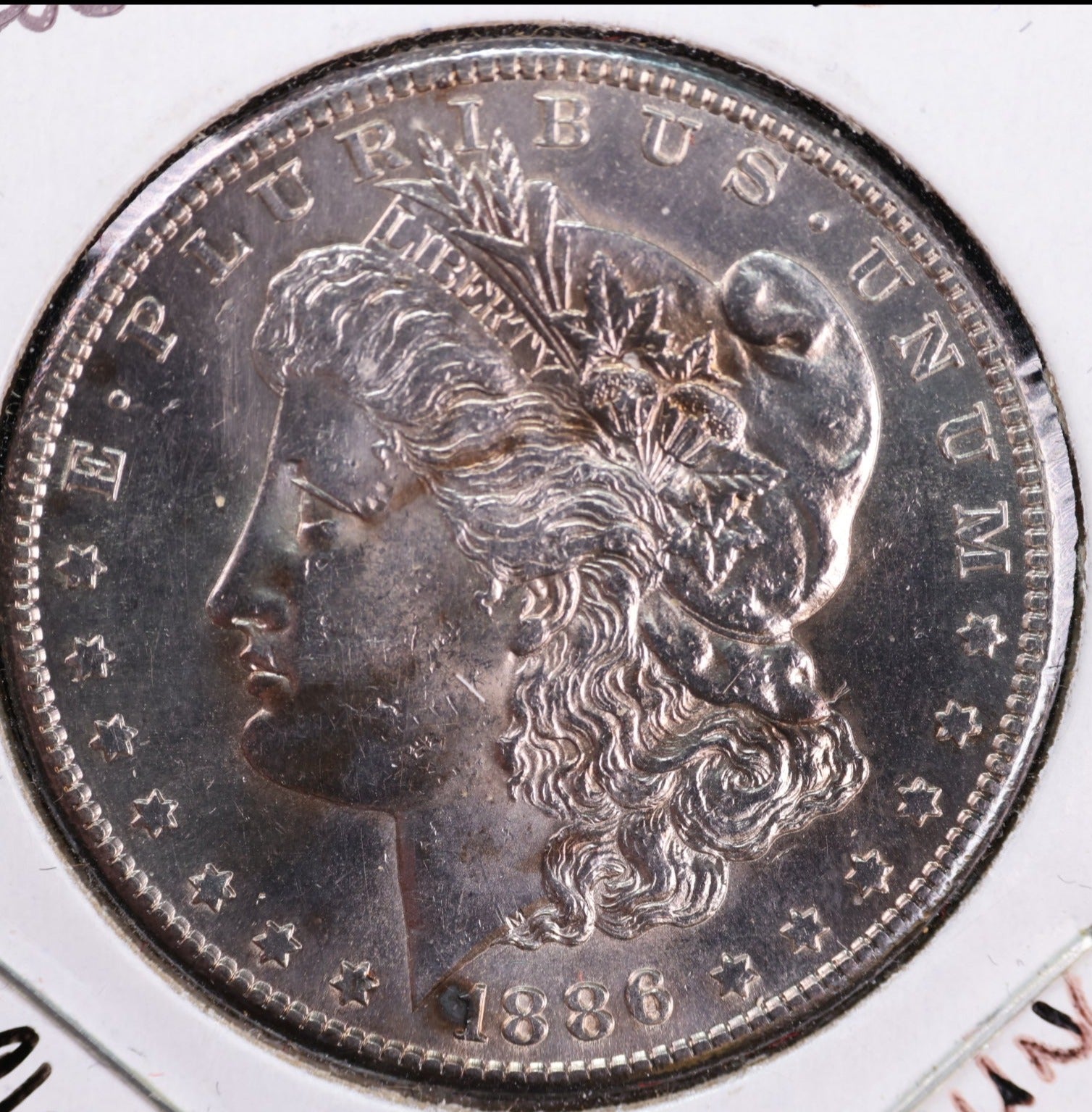 1886-S Morgan Dollar, Mint State Uncirculated Coin, Store #DR0918