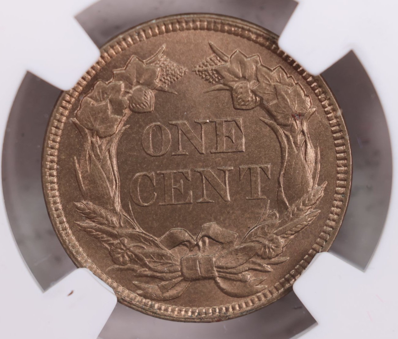 1858 Flying Eagle Cents., Large Letters., NGC MS-65., Store #GCT0002