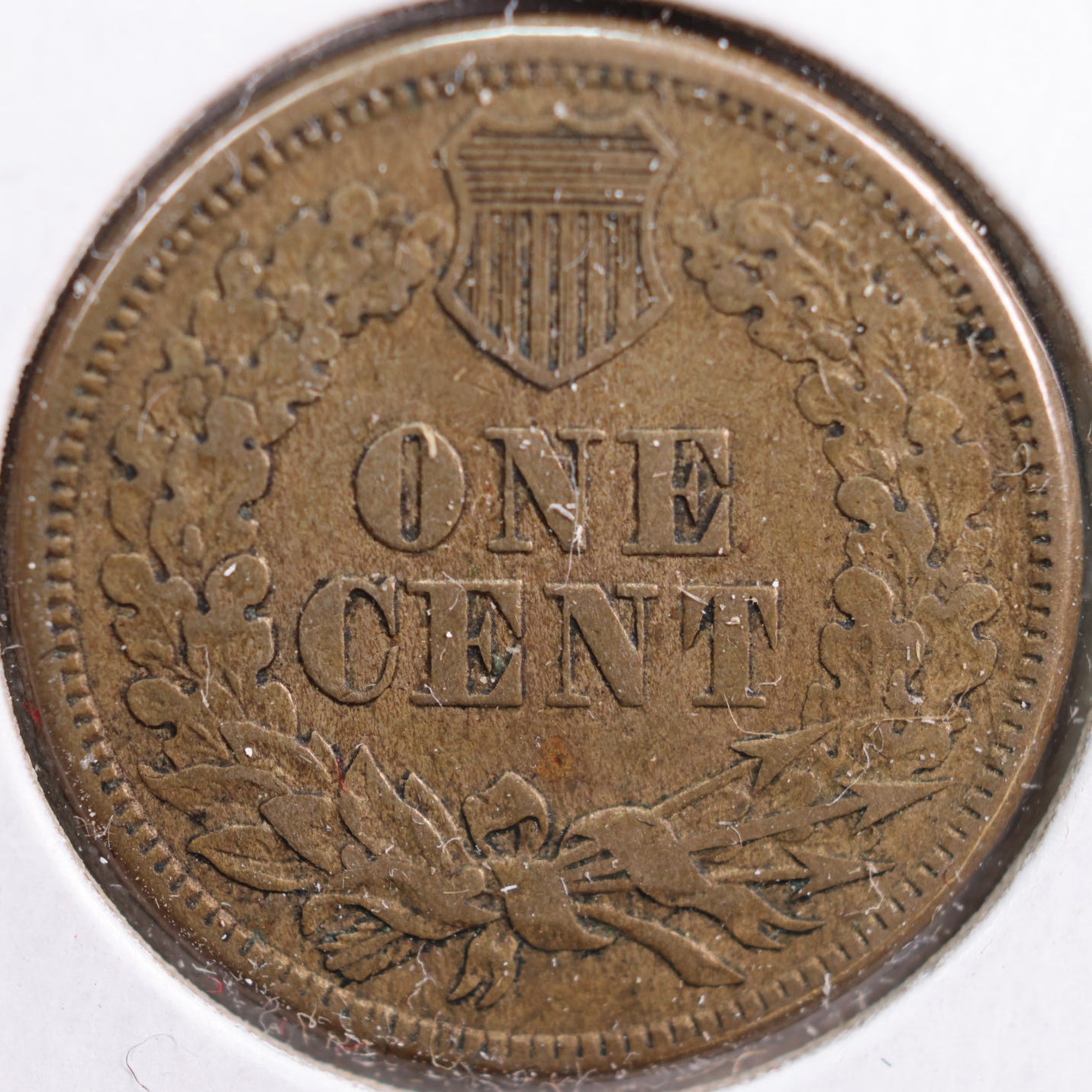 1860 Indian Head Cent, Extra Fine+ Circulated Coin, Store #CT0739