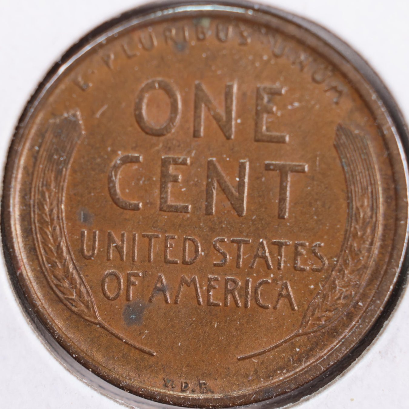 1909 VDB Lincoln Wheat Cent, Extra Fine Circulated Coin, Store #CT0138