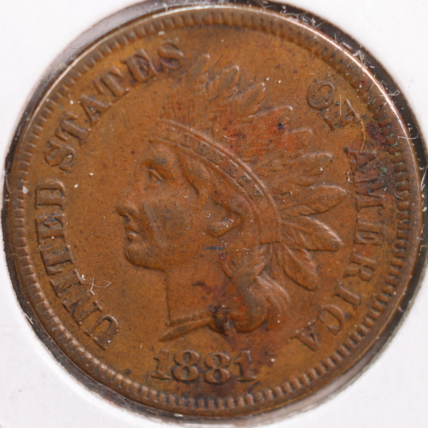 1881 Indian Head Cent, Very Fine+ Circulated Coin, Store #CT0814