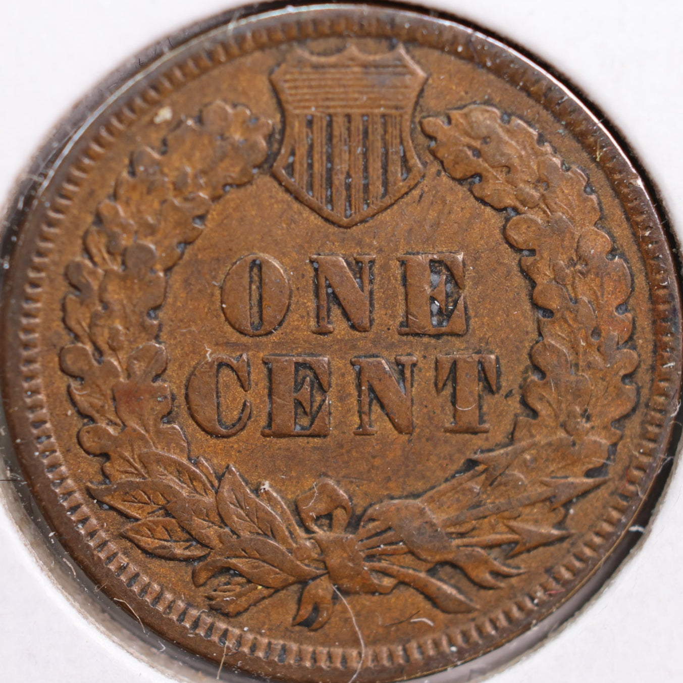 1891 Indian Head Cent, Extra Fine+ Circulated Coin, Store #CT0836