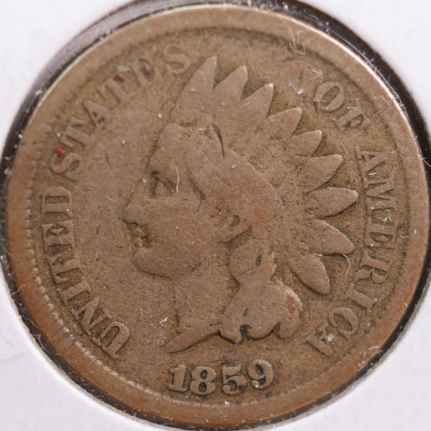 1859 Indian Head Cent, Good Circulated Coin, Store #CT0844