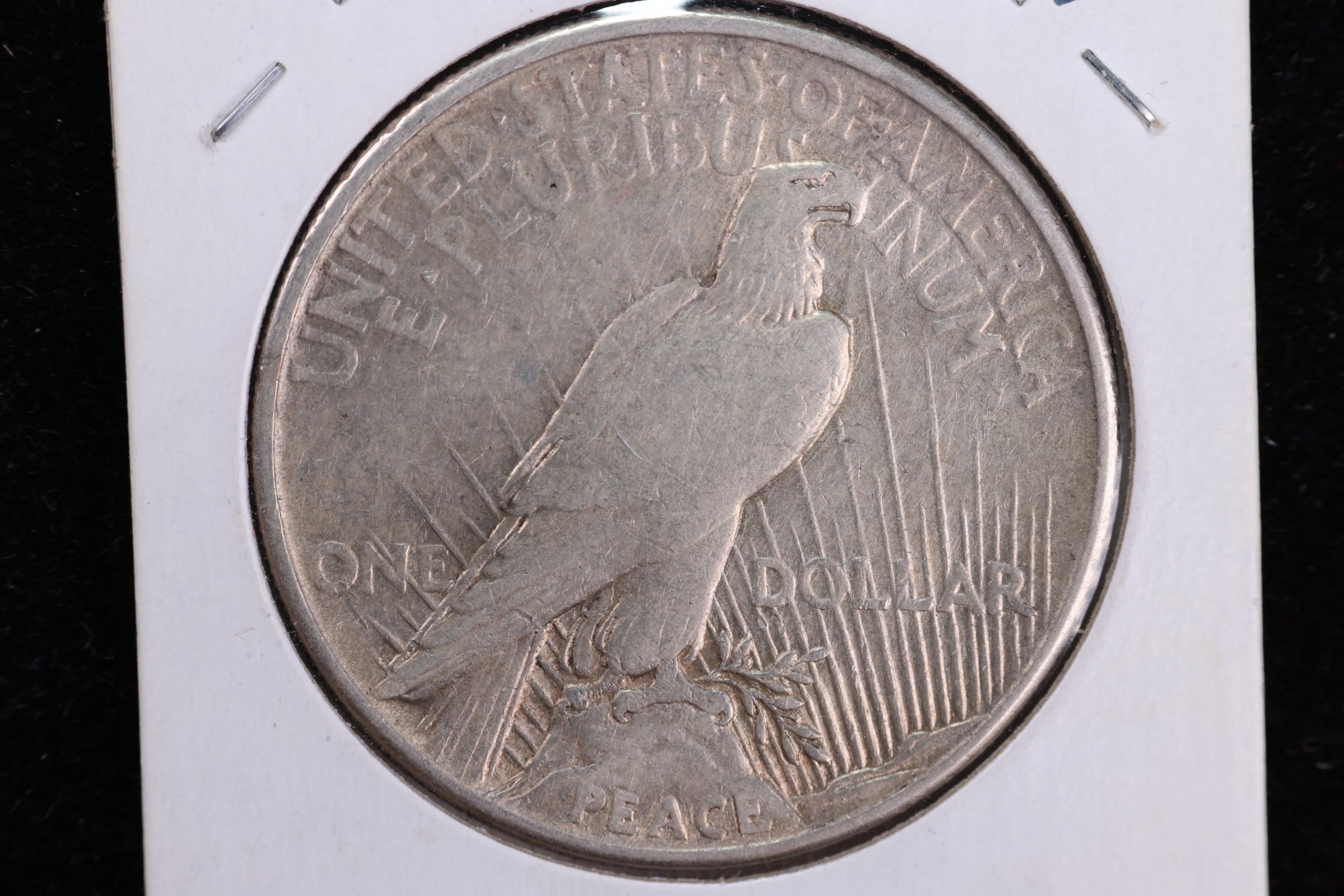 1921 Peace Silver Dollar, Nice Affordable Coin, Store #23080695