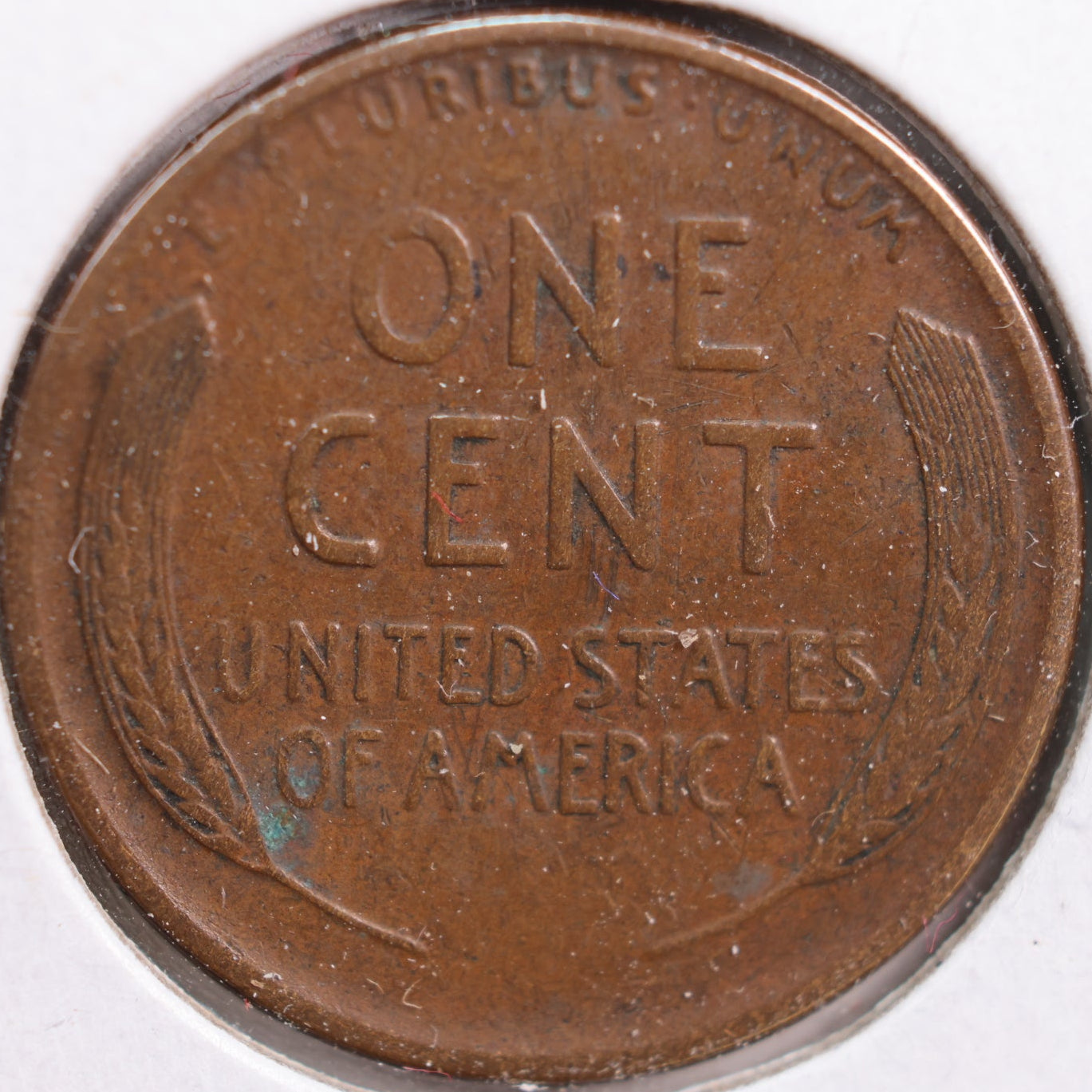 1919-S Lincoln Cent, Very Fine Circulated Coin, Store #CT0882