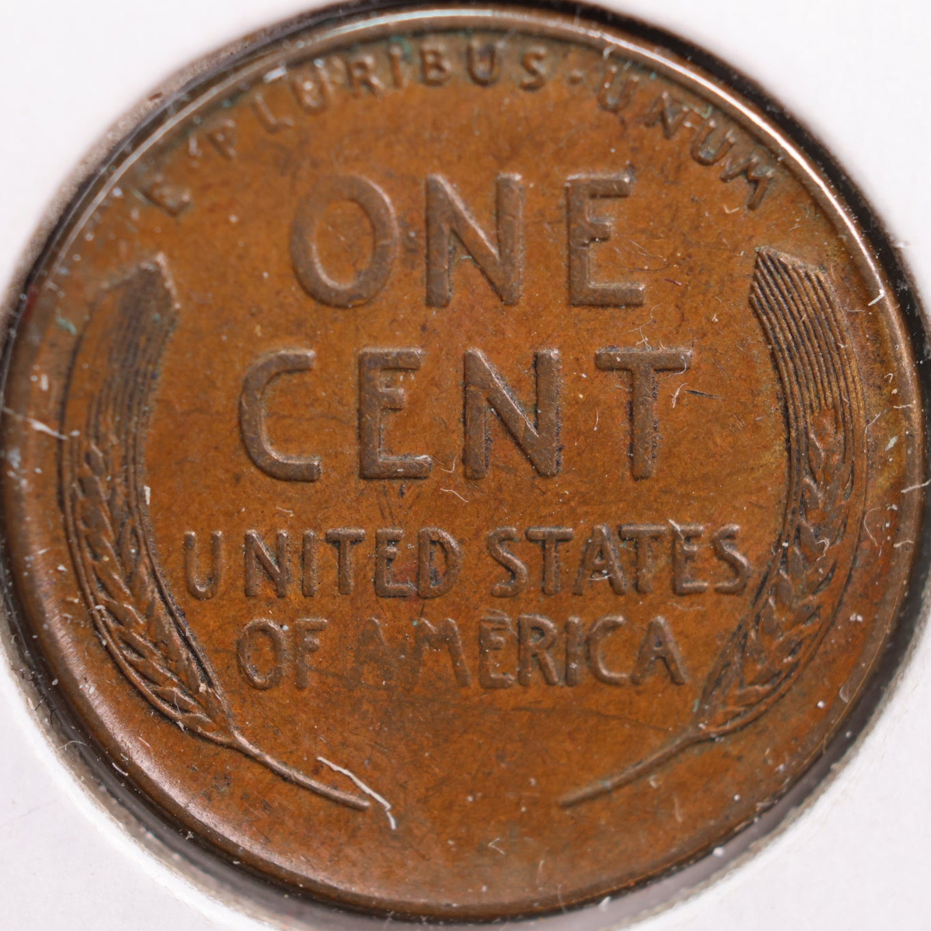 1919-S Lincoln Cent, About Uncirculated Coin, Store #CT0884