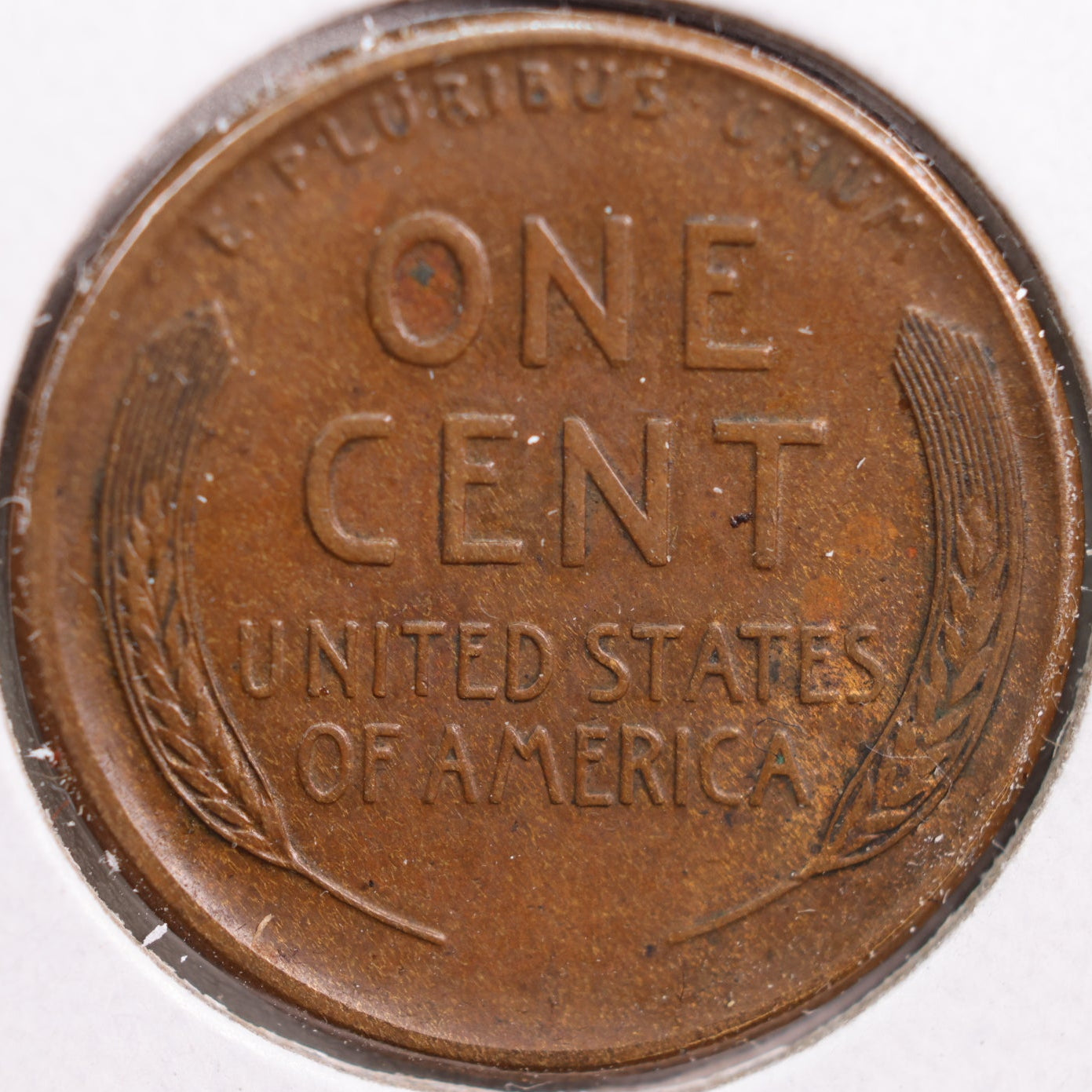 1919-S Lincoln Cent, Extra Fine Circulated Coin, Store #CT0885