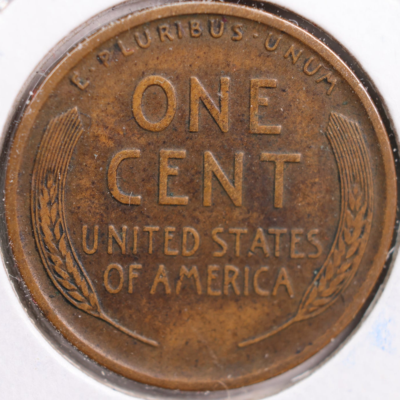 1919-S Lincoln Cent, Extra Fine Circulated Coin, Store #CT0886