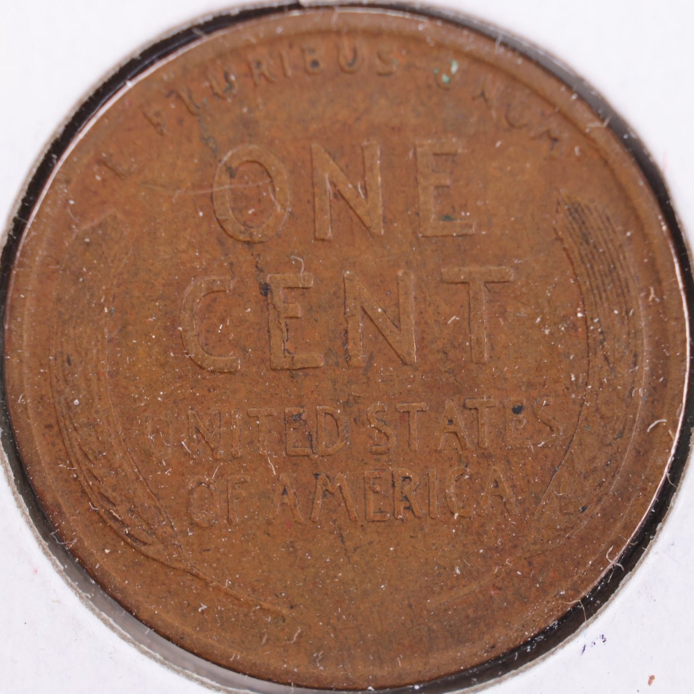 1919 Lincoln Wheat Cent, Extra Fine Circulated Coin, Store #CT0296