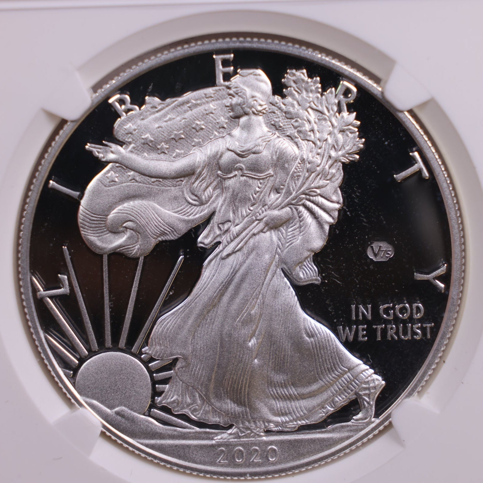 2020-W American Silver Eagle, 'V75' Privy, NGC PF-70, Store #AE0177