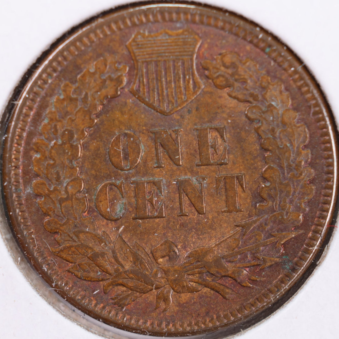 1895 Indian Head Cent, Mint State Uncirculated Coin, Store #CT0327