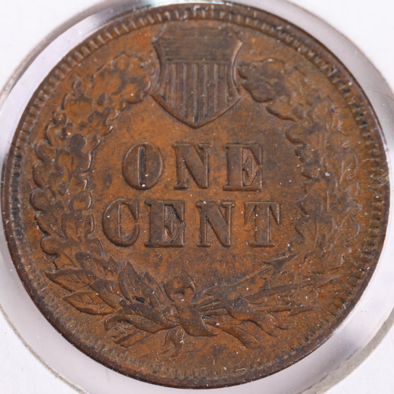 1901 Indian Head Cent, Extra Fine Circulated Coin, Store #CT0343