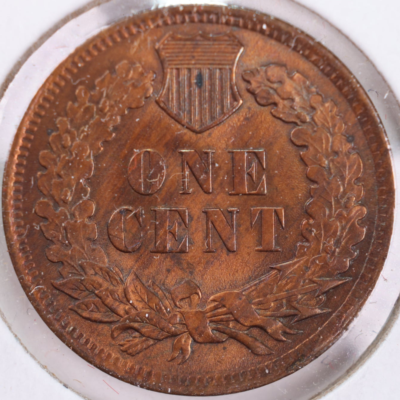 1901 Indian Head Cent, RB Mint State Uncirculated Coin, Store #CT0345