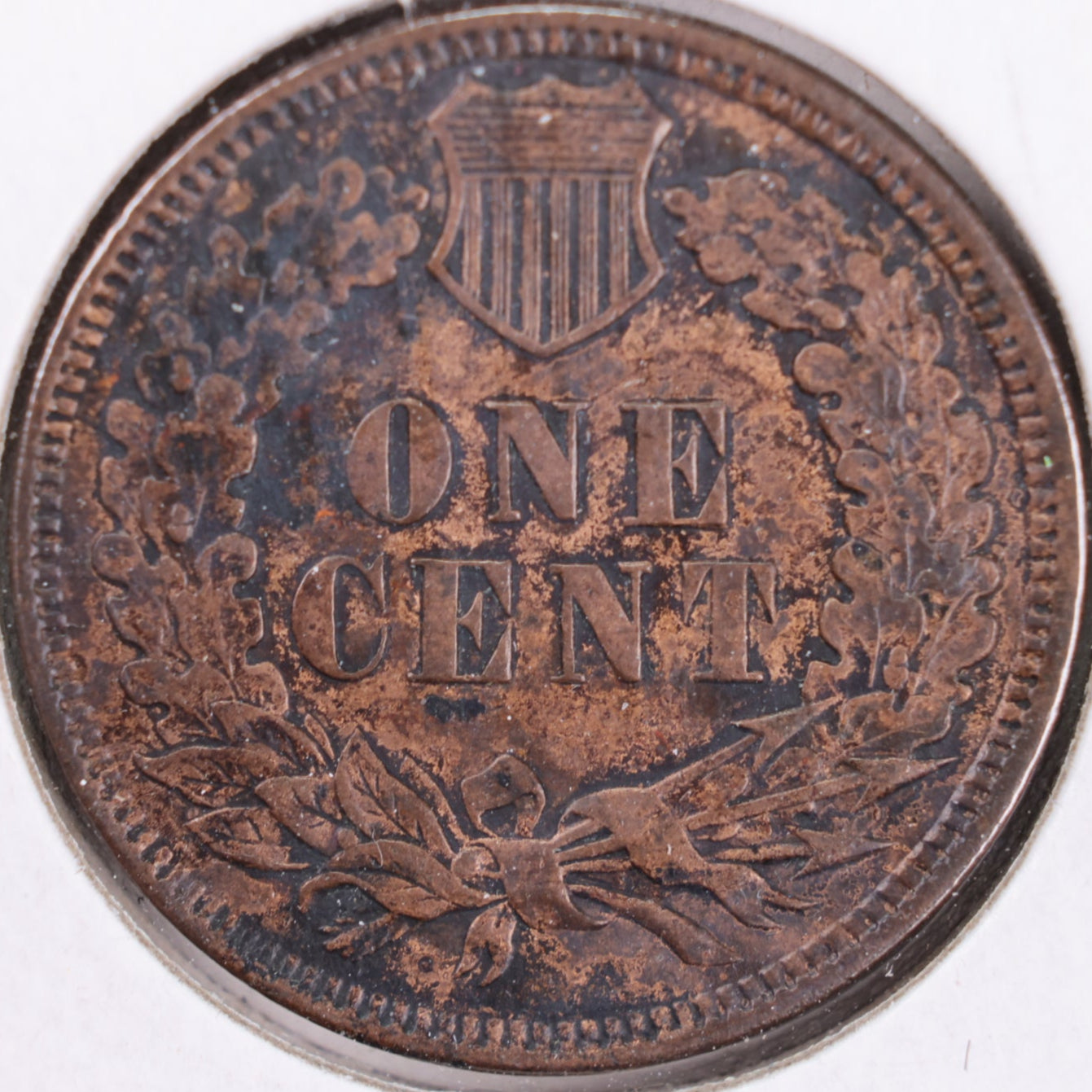 1901 Indian Head Cent, Extra Fine Circulated Coin, Store #CT0347