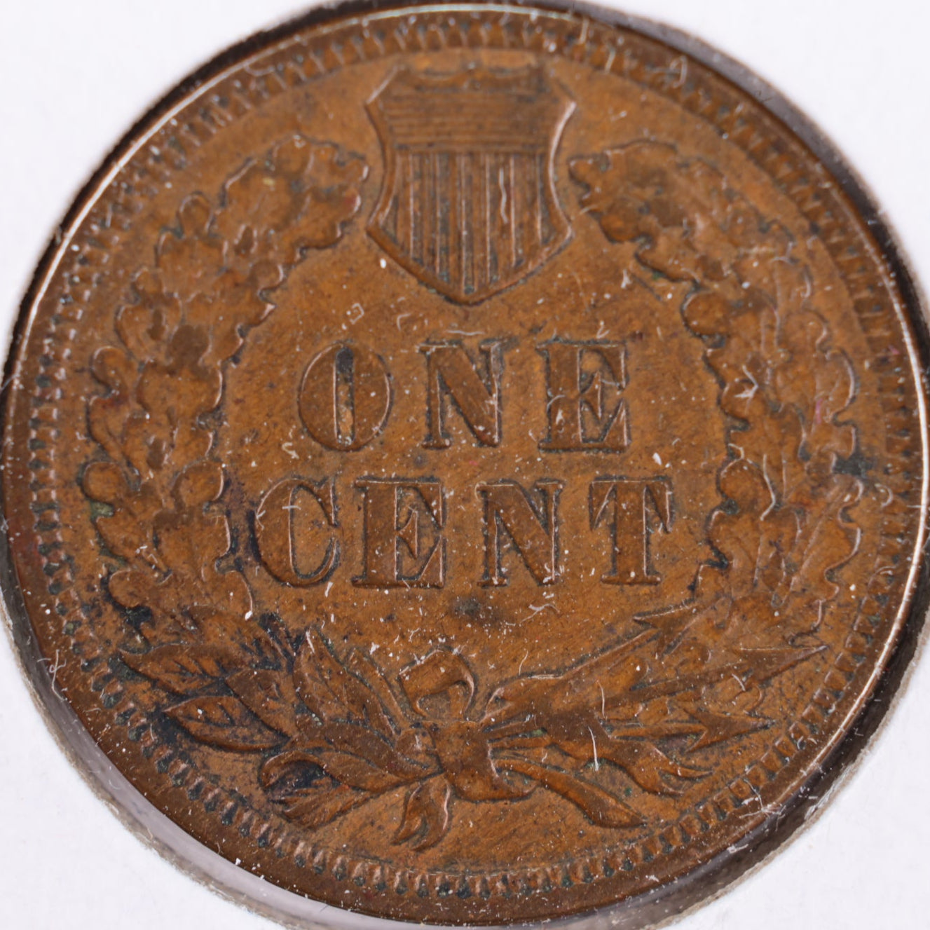 1908 Indian Head Cent, Extra Fine+ Circulated Coin, Store #CT0359