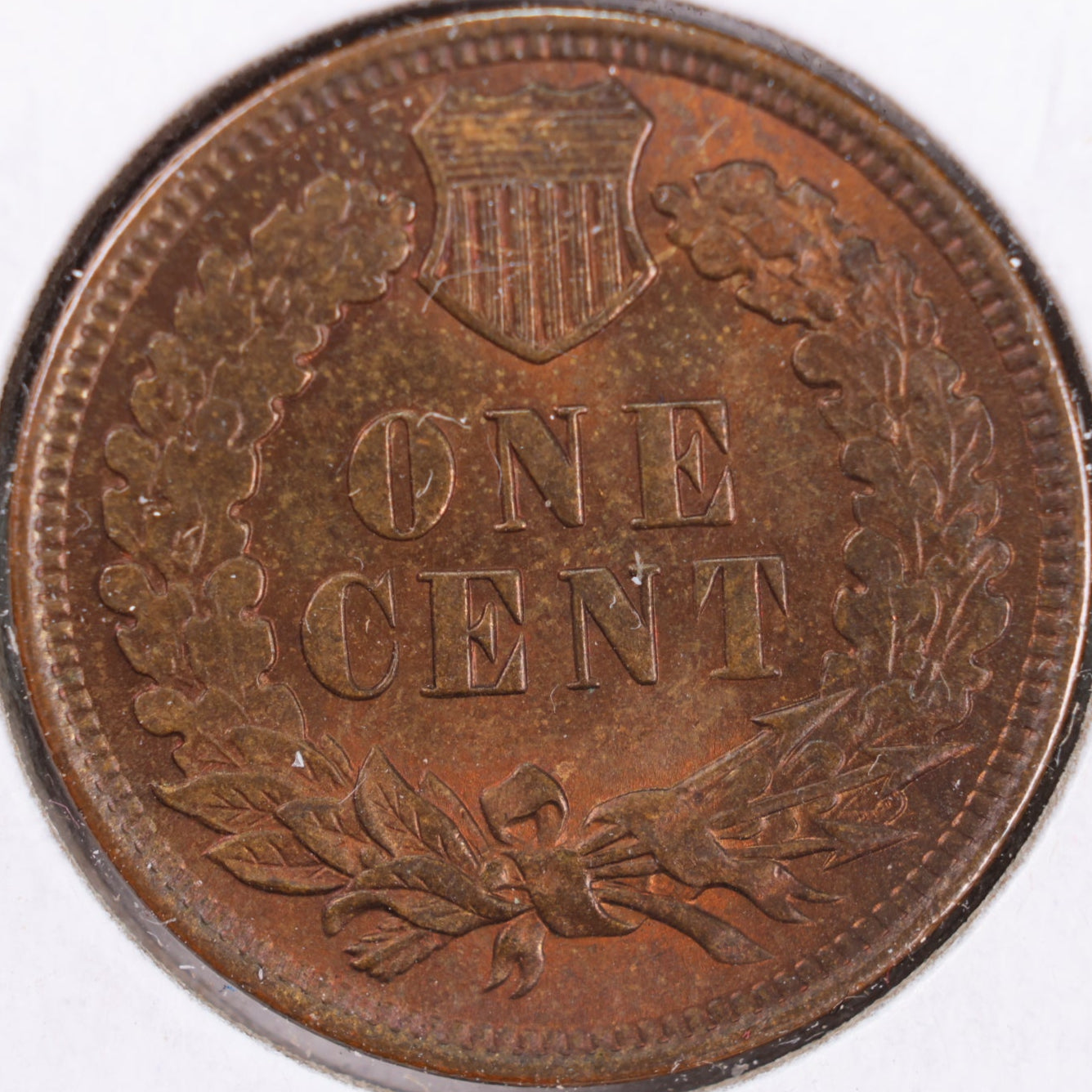 1907 Indian Head Cent, RB Mint State Uncirculated Coin, Store #CT0368
