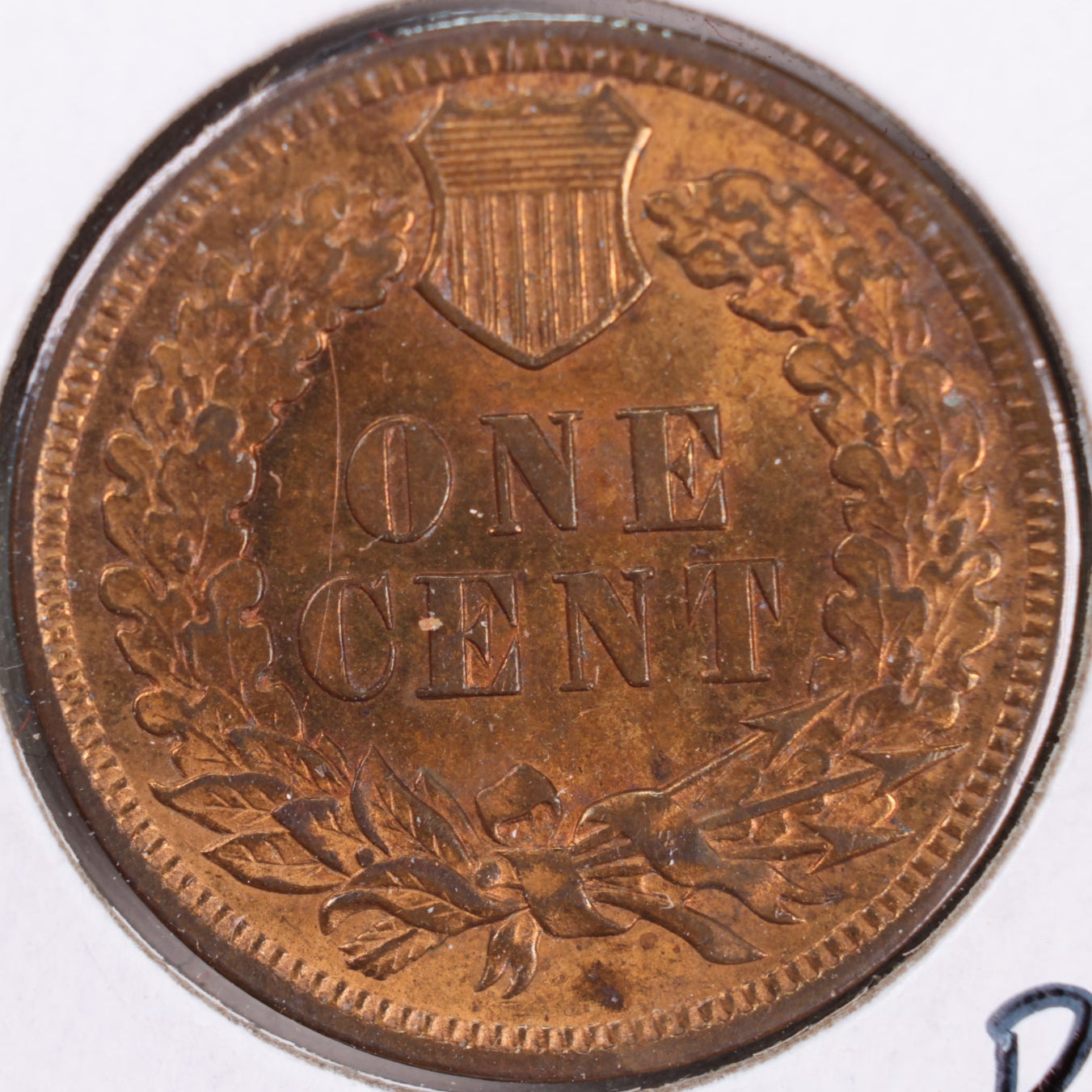 1904 Indian Head Cent, RB Mint State Uncirculated Coin, Store #CT0369