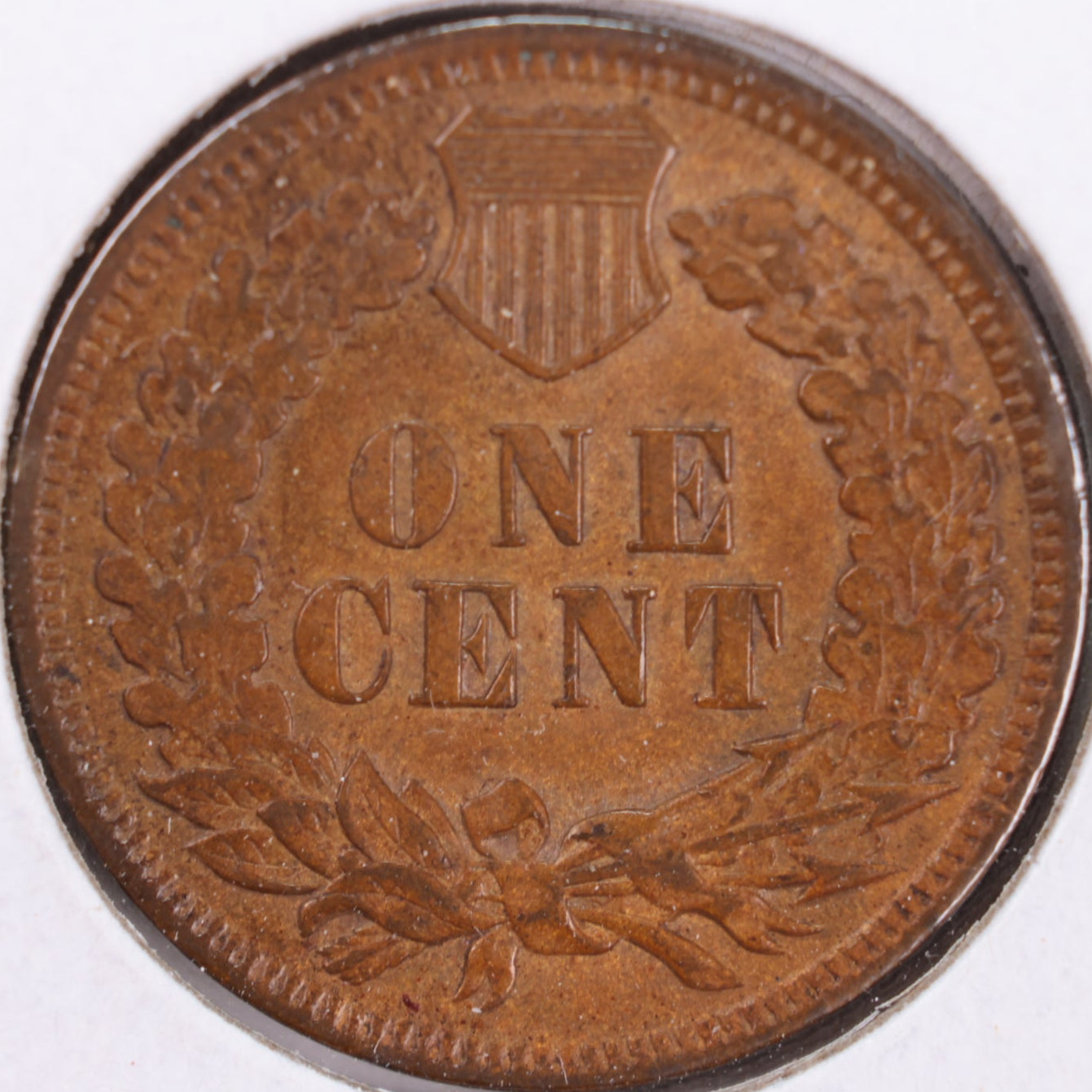 1905 Indian Head Cent, Extra Fine Circulated Coin, Store #CT0374