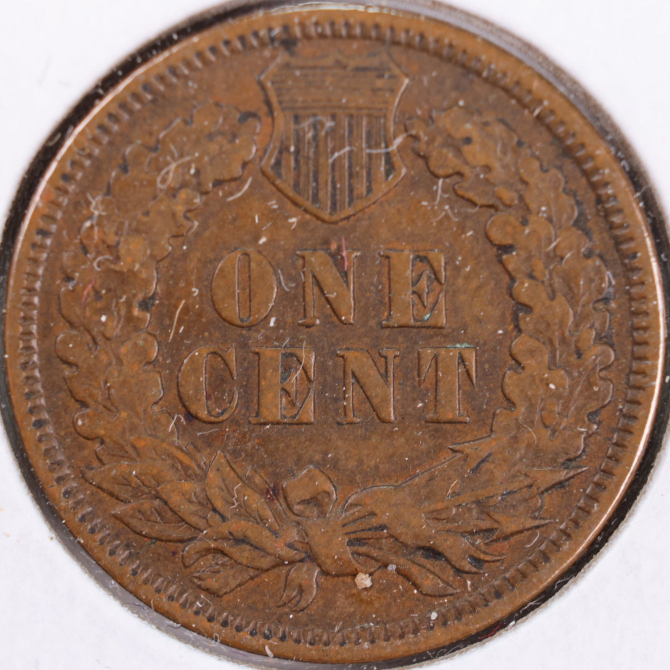 1905 Indian Head Cent, Fine+ Circulated Coin, Store #CT0376