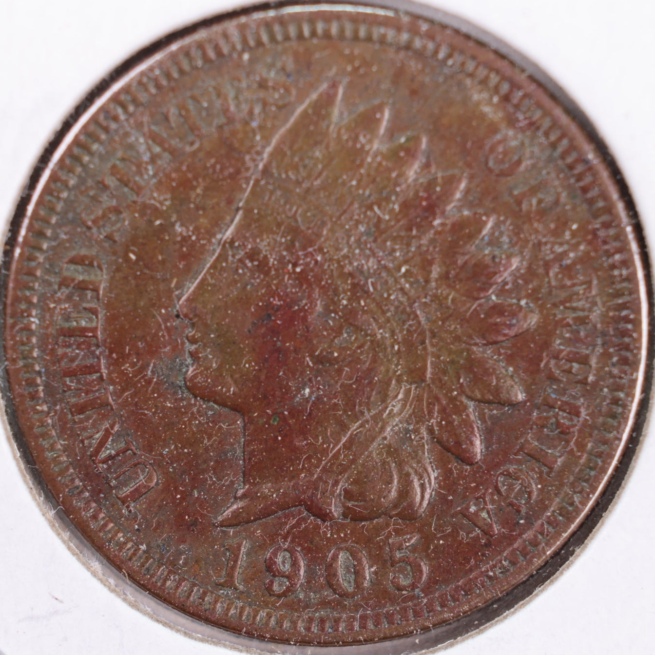 1905 Indian Head Cent, Extra Fine Circulated Coin, Store #CT0377
